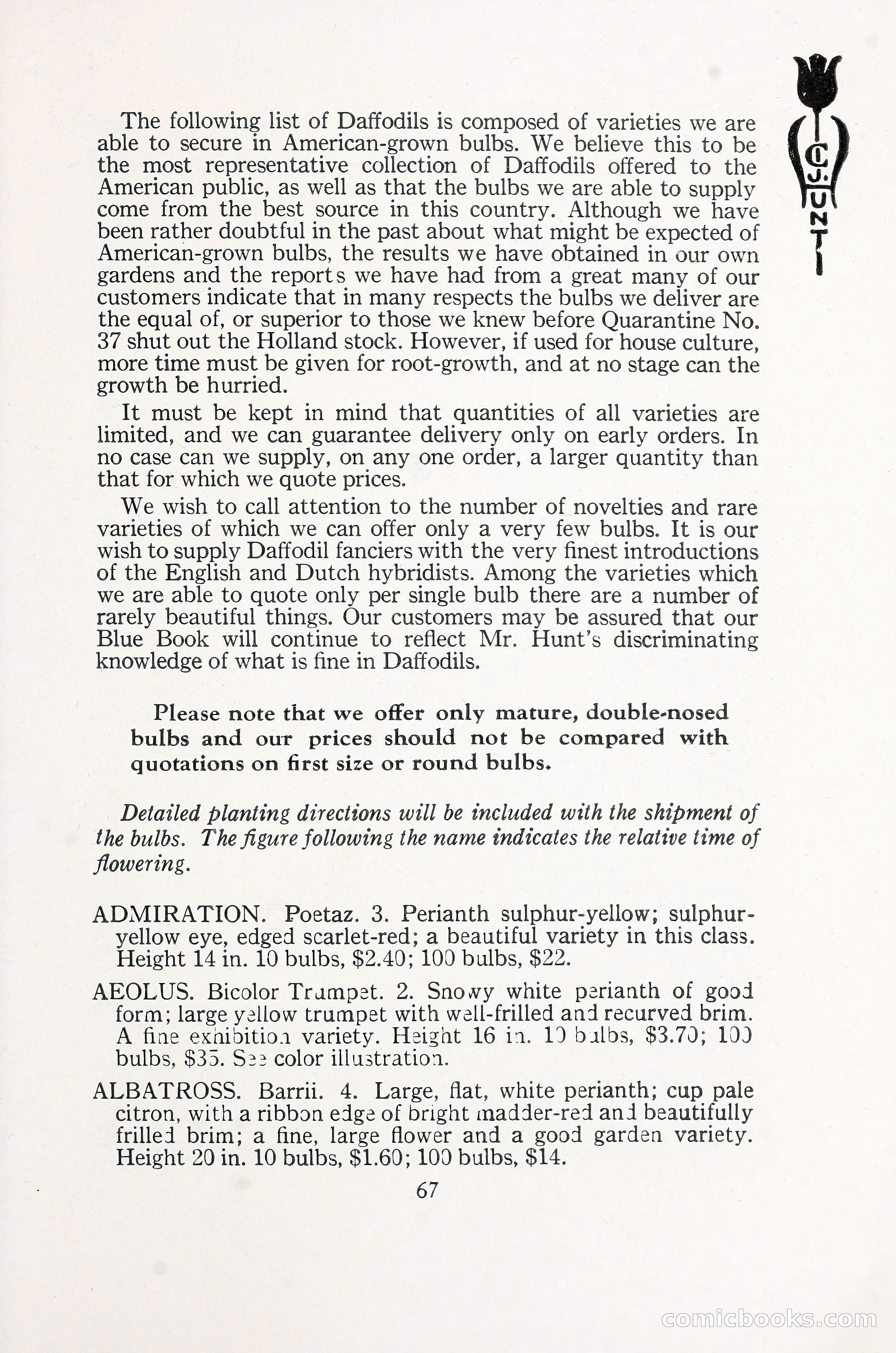 Blue Book of Bulbs, 1930 — page 96 of 140