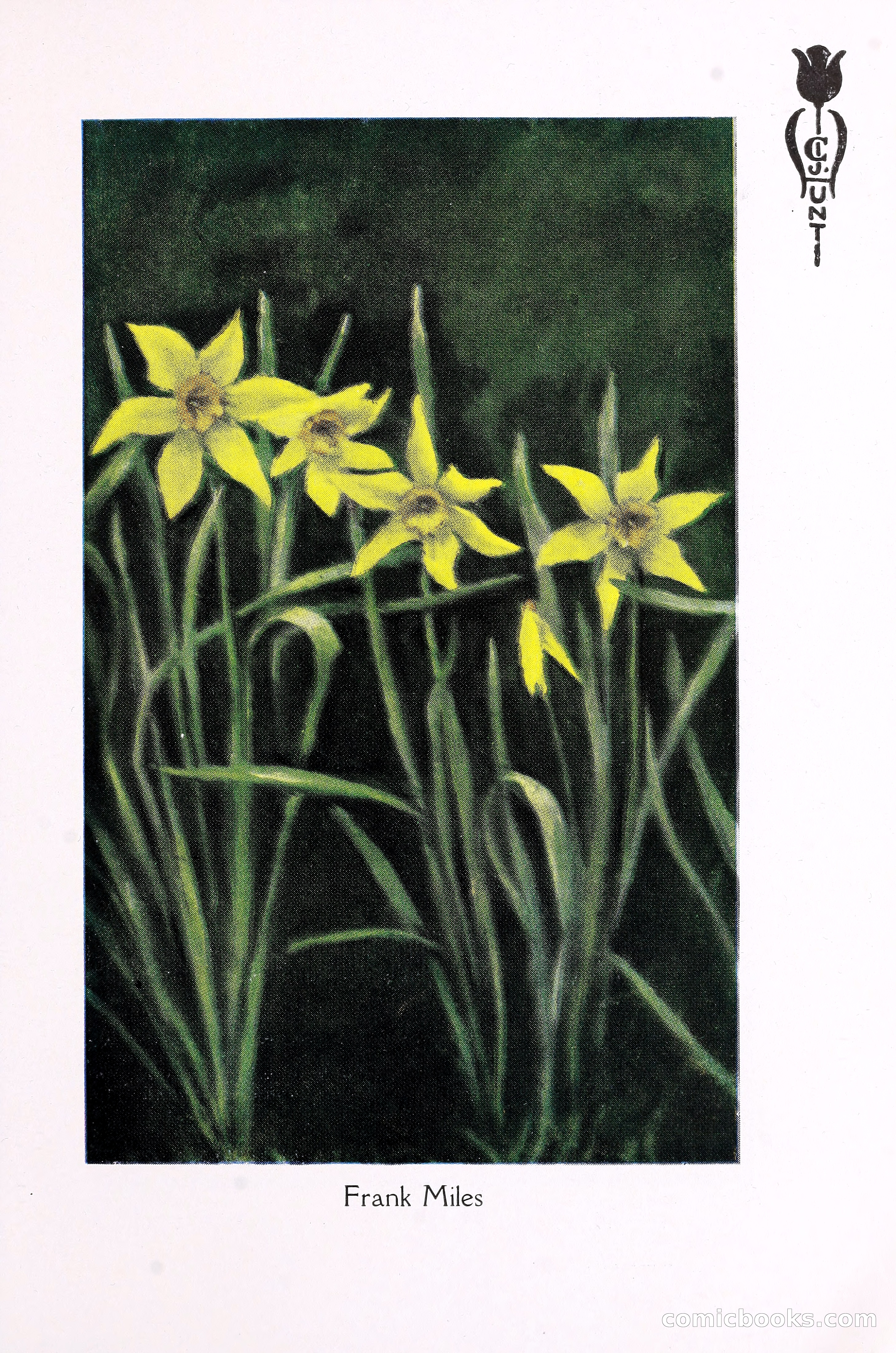 Blue Book of Bulbs, 1930 — page 98 of 140