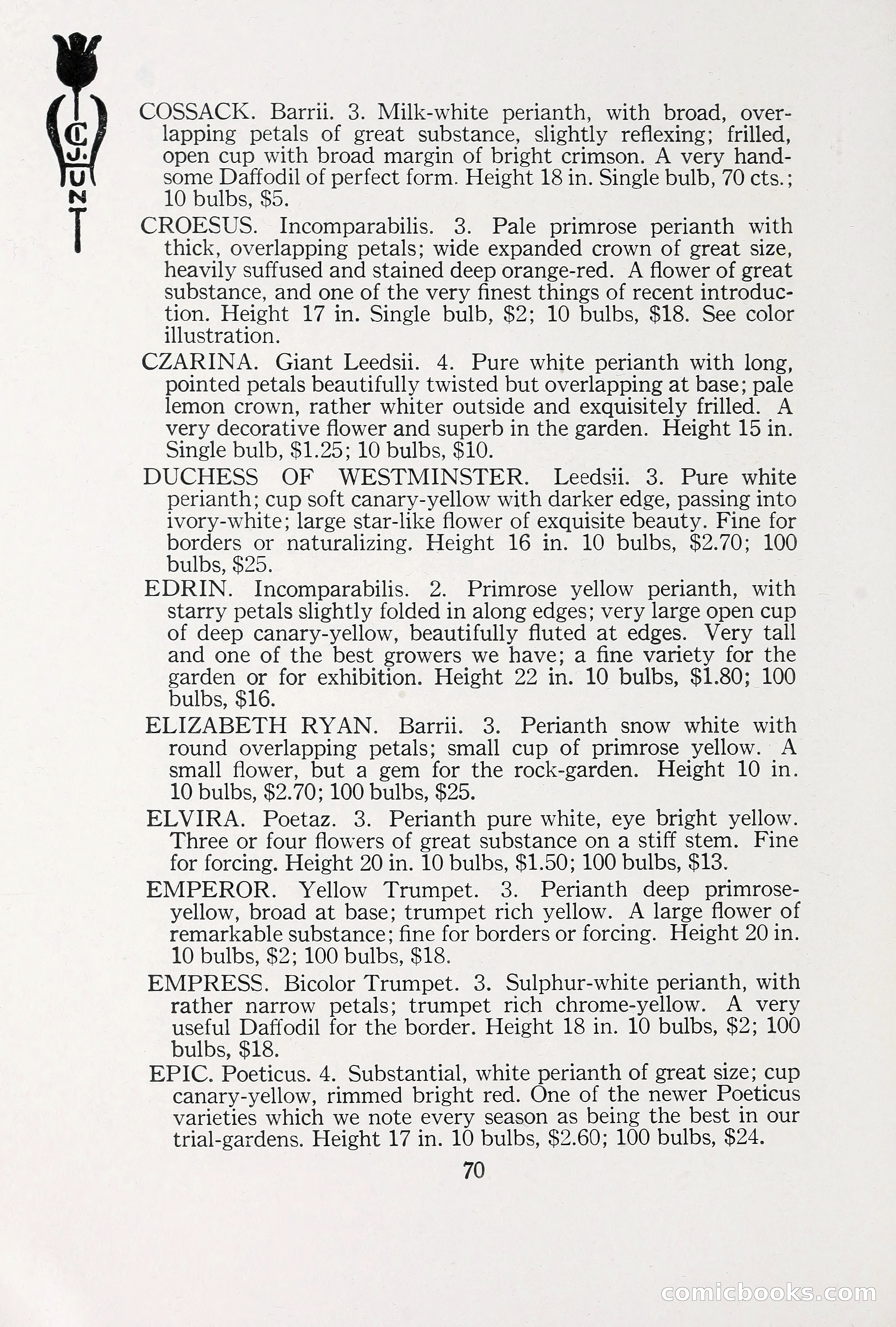 Blue Book of Bulbs, 1930 — page 101 of 140
