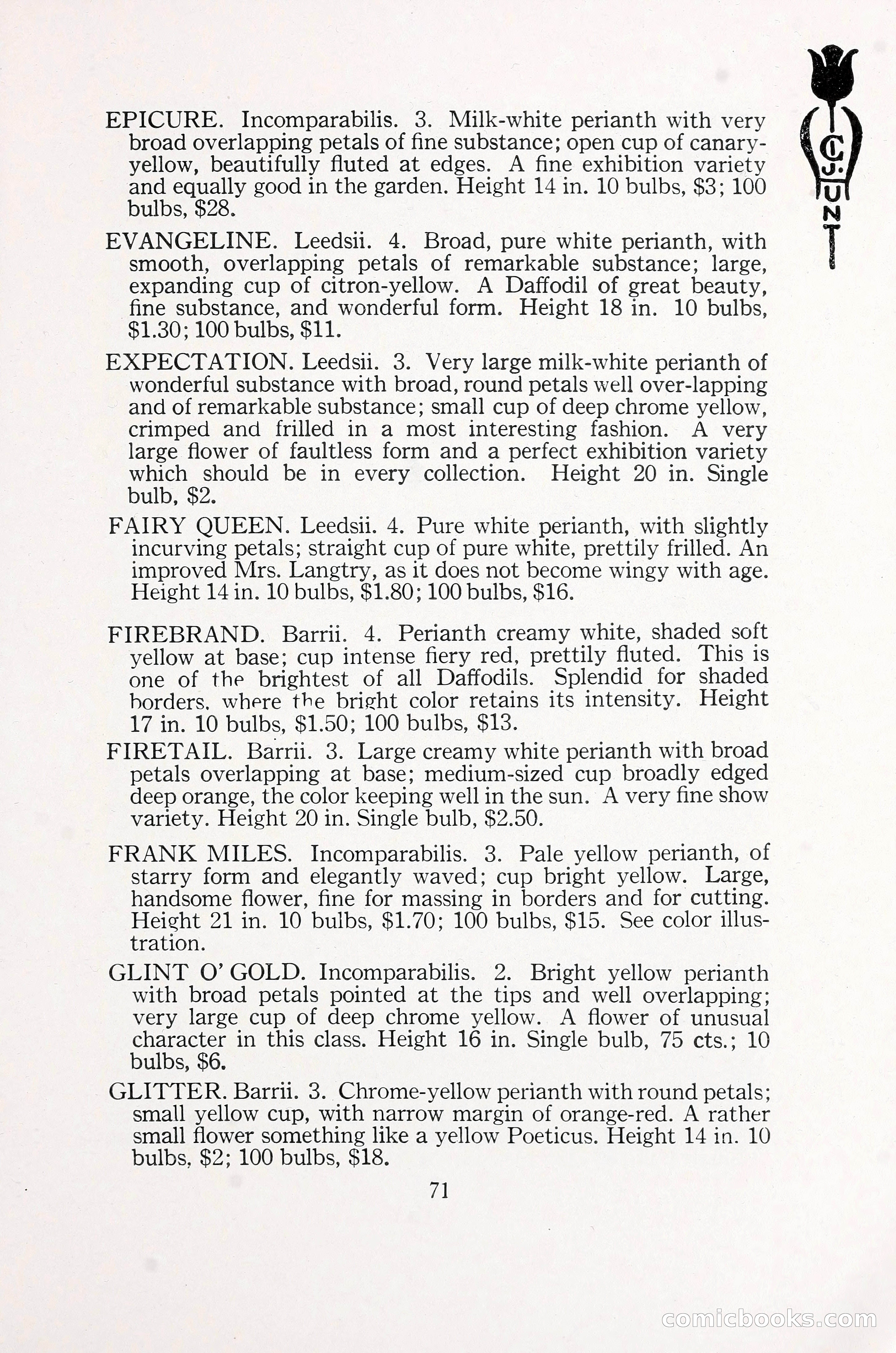 Blue Book of Bulbs, 1930 — page 104 of 140