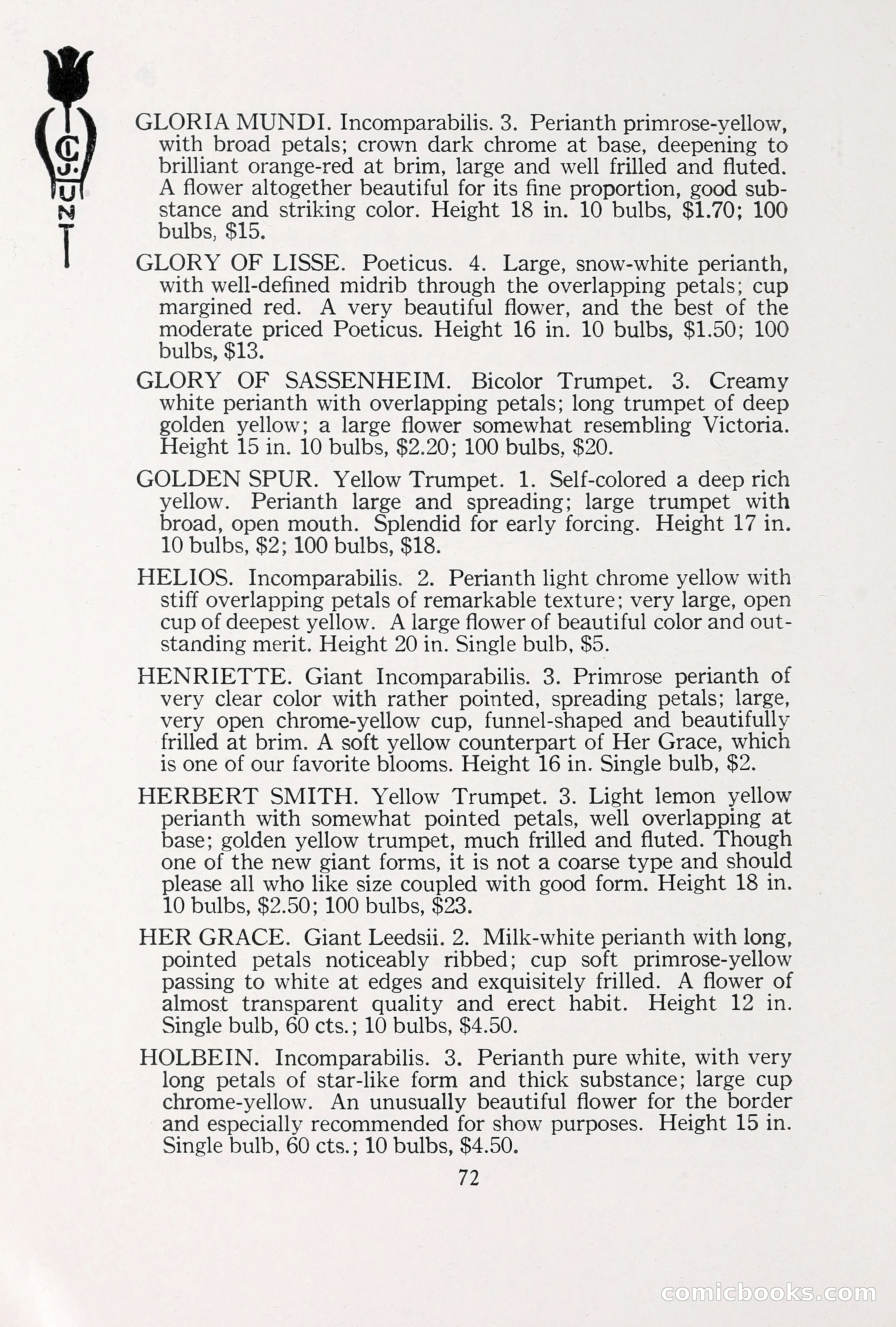 Blue Book of Bulbs, 1930 — page 105 of 140