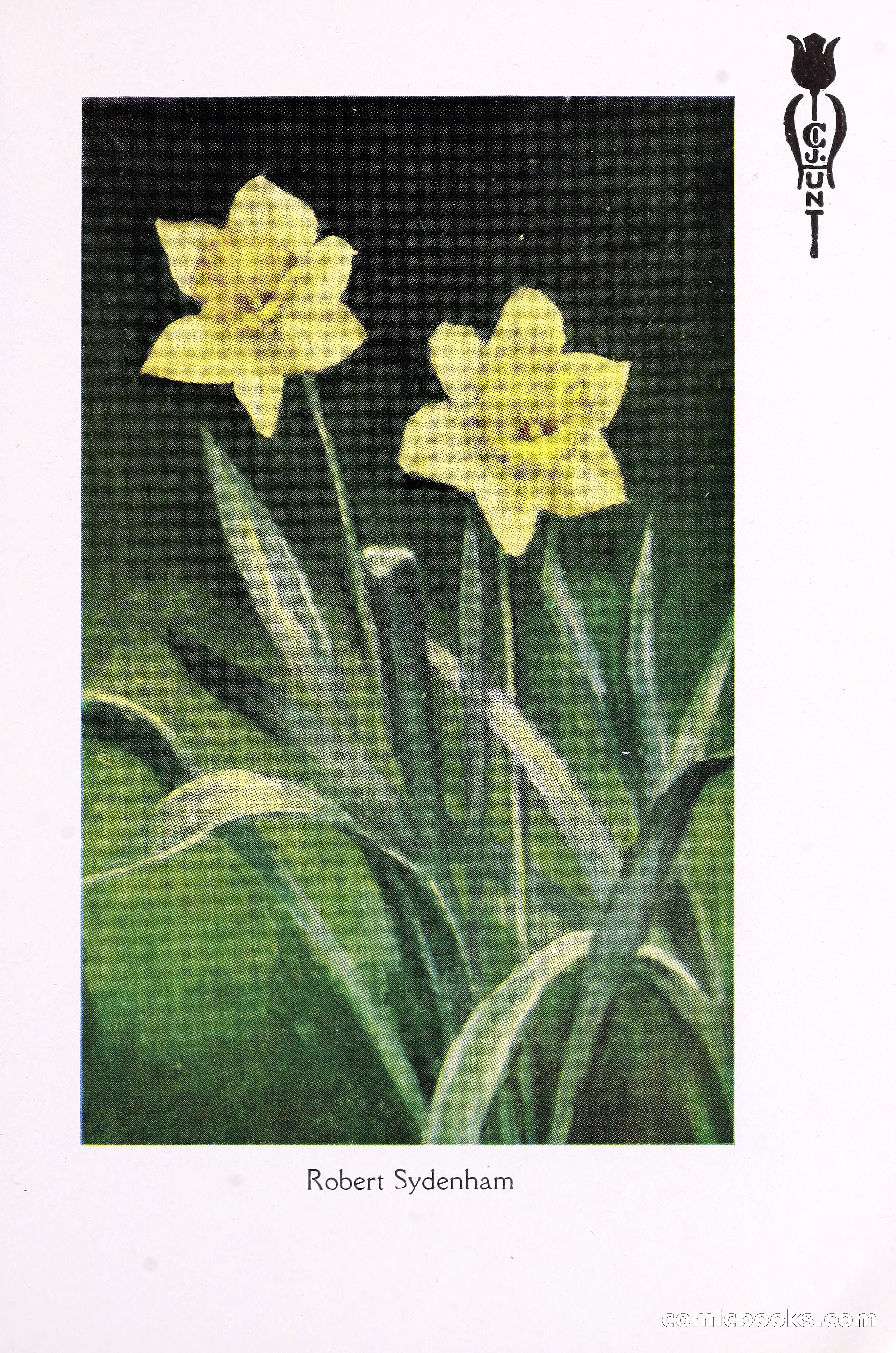Blue Book of Bulbs, 1930 — page 110 of 140