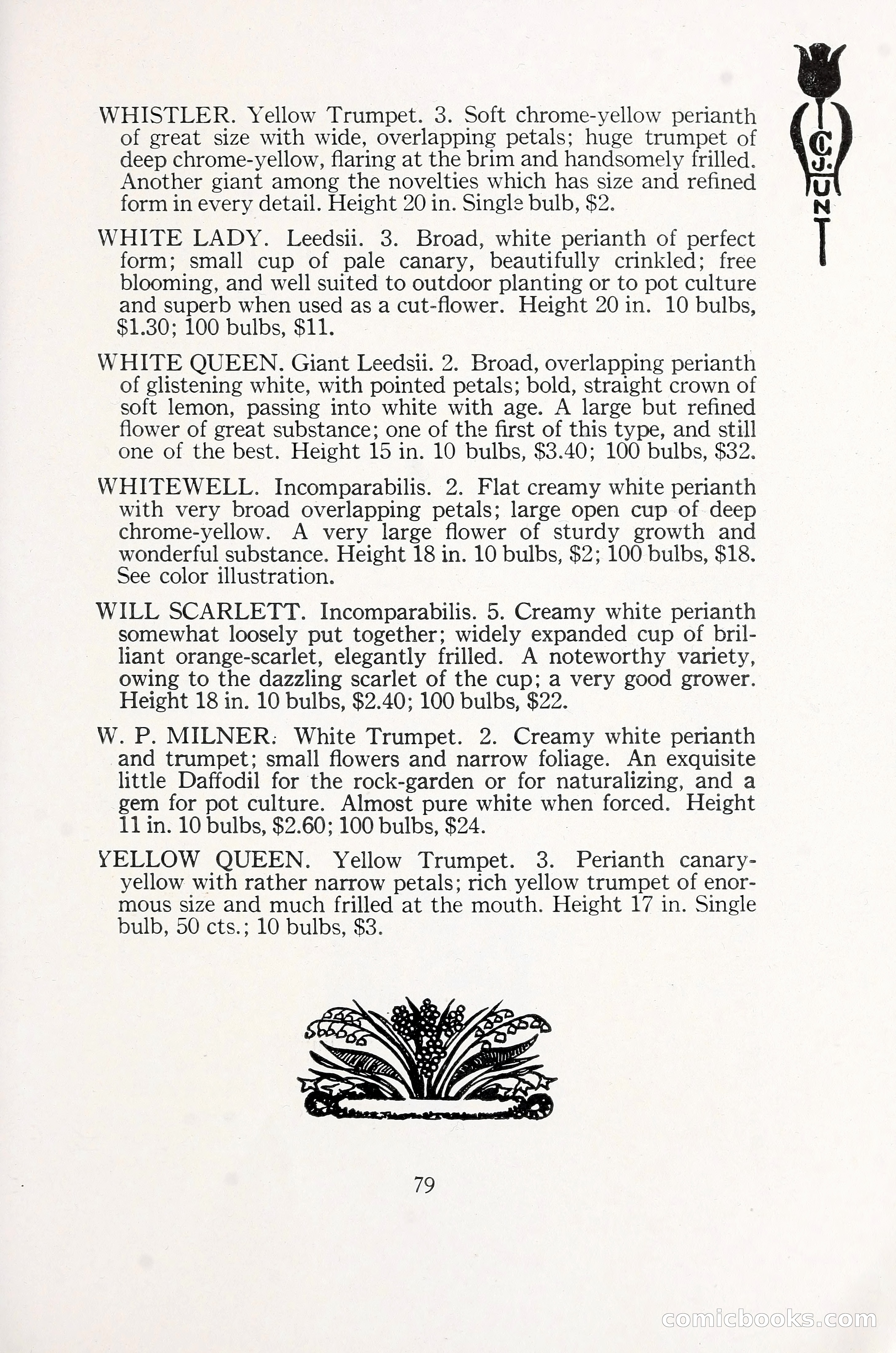 Blue Book of Bulbs, 1930 — page 120 of 140