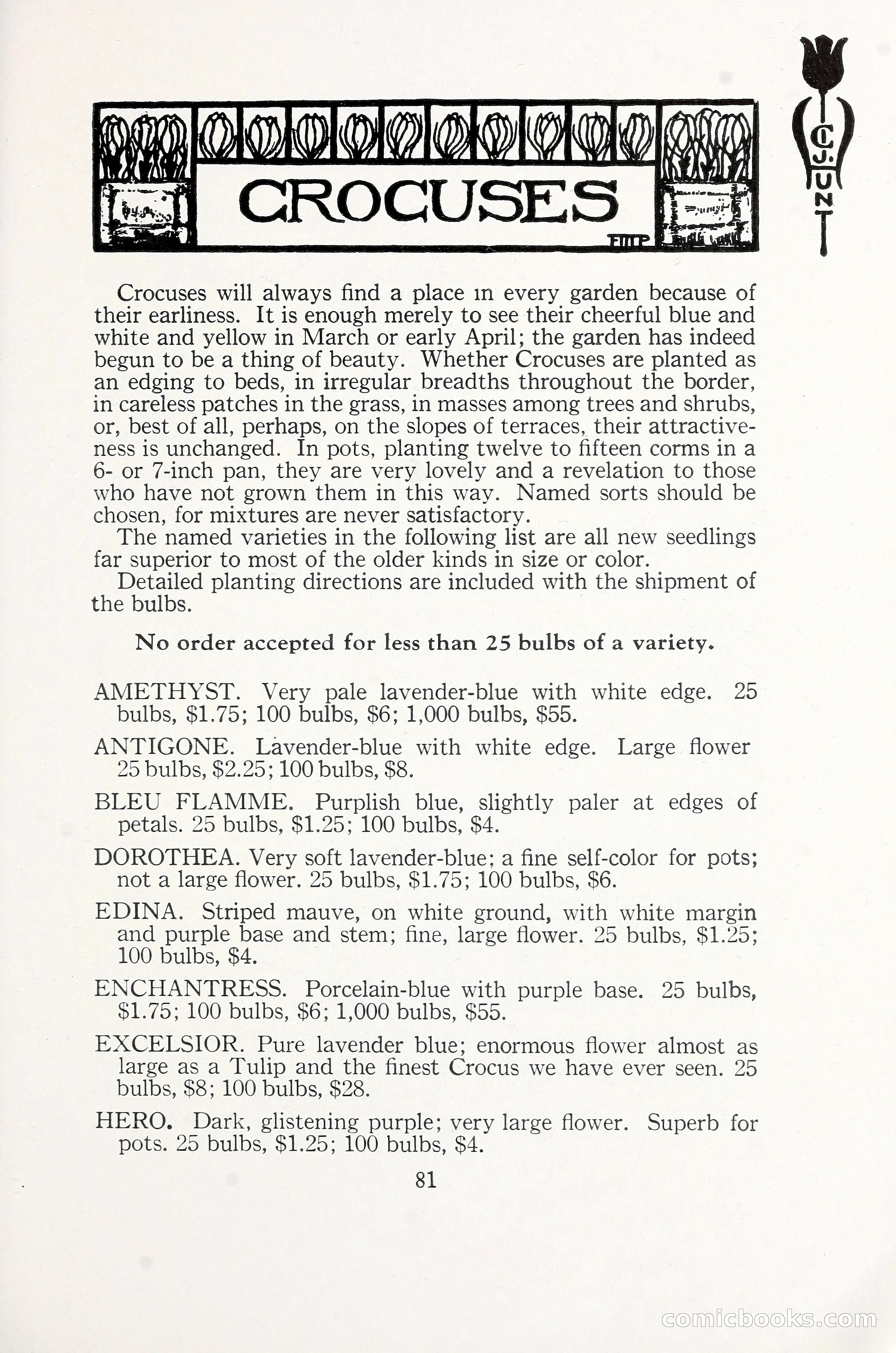 Blue Book of Bulbs, 1930 — page 122 of 140