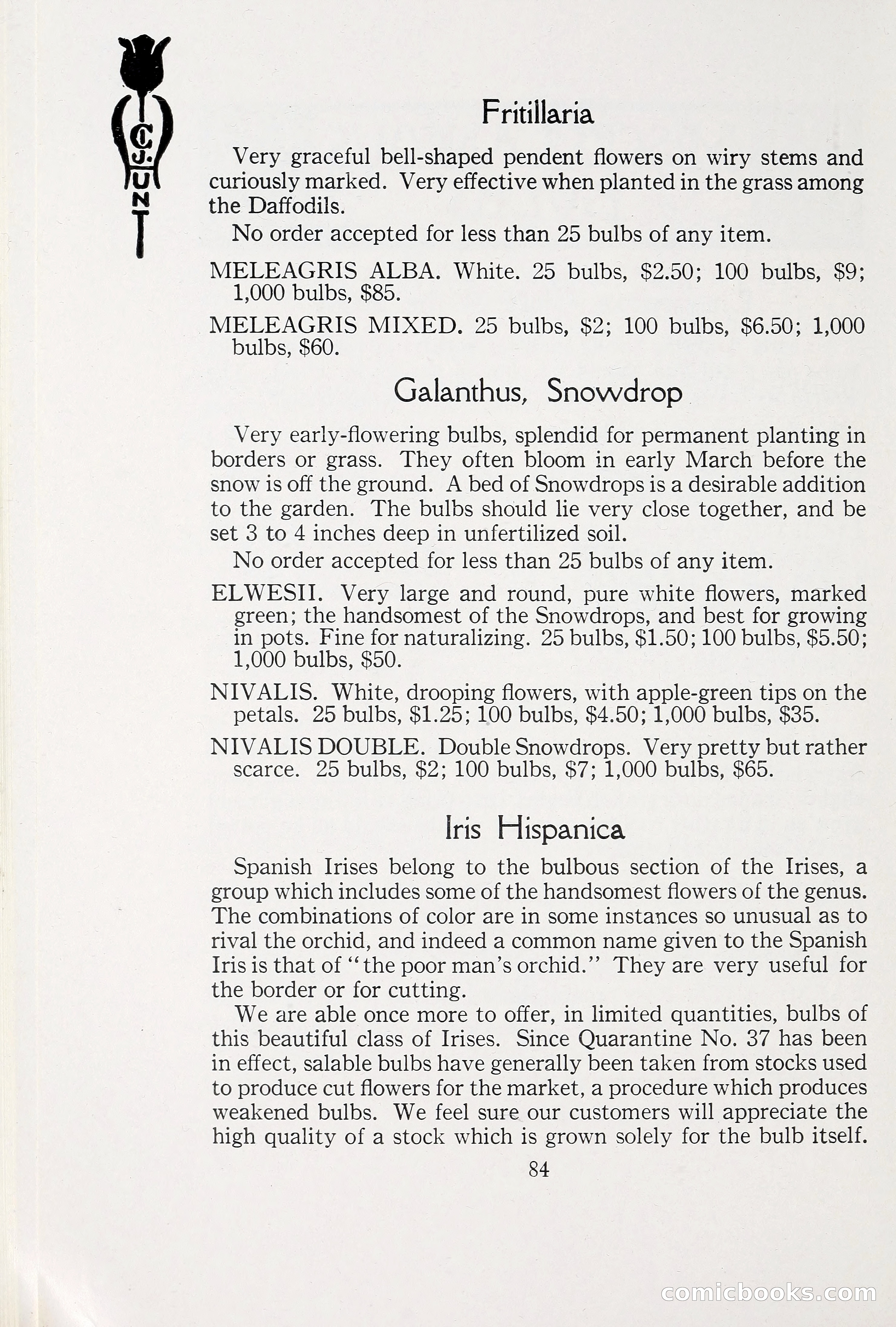 Blue Book of Bulbs, 1930 — page 125 of 140