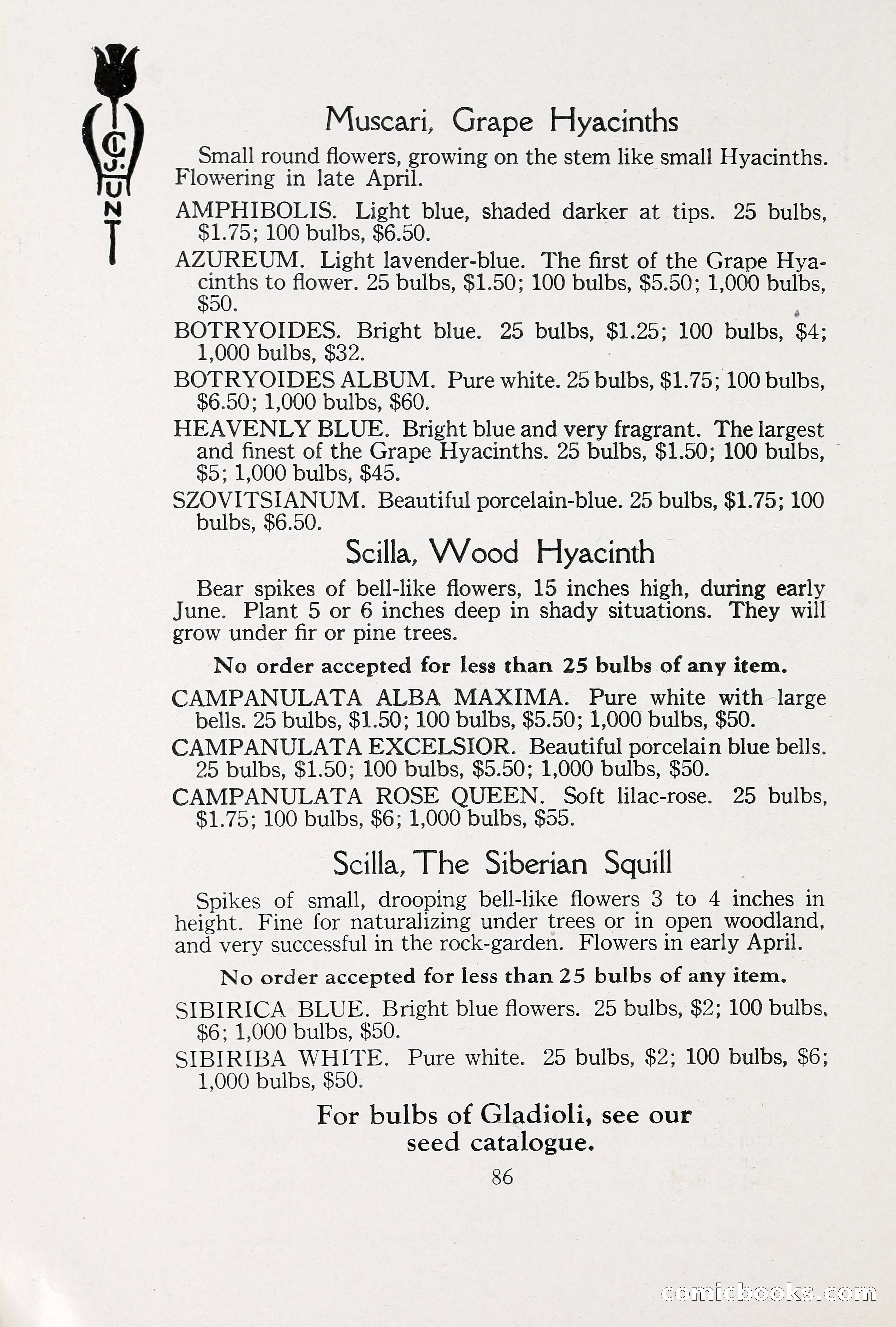 Blue Book of Bulbs, 1930 — page 127 of 140