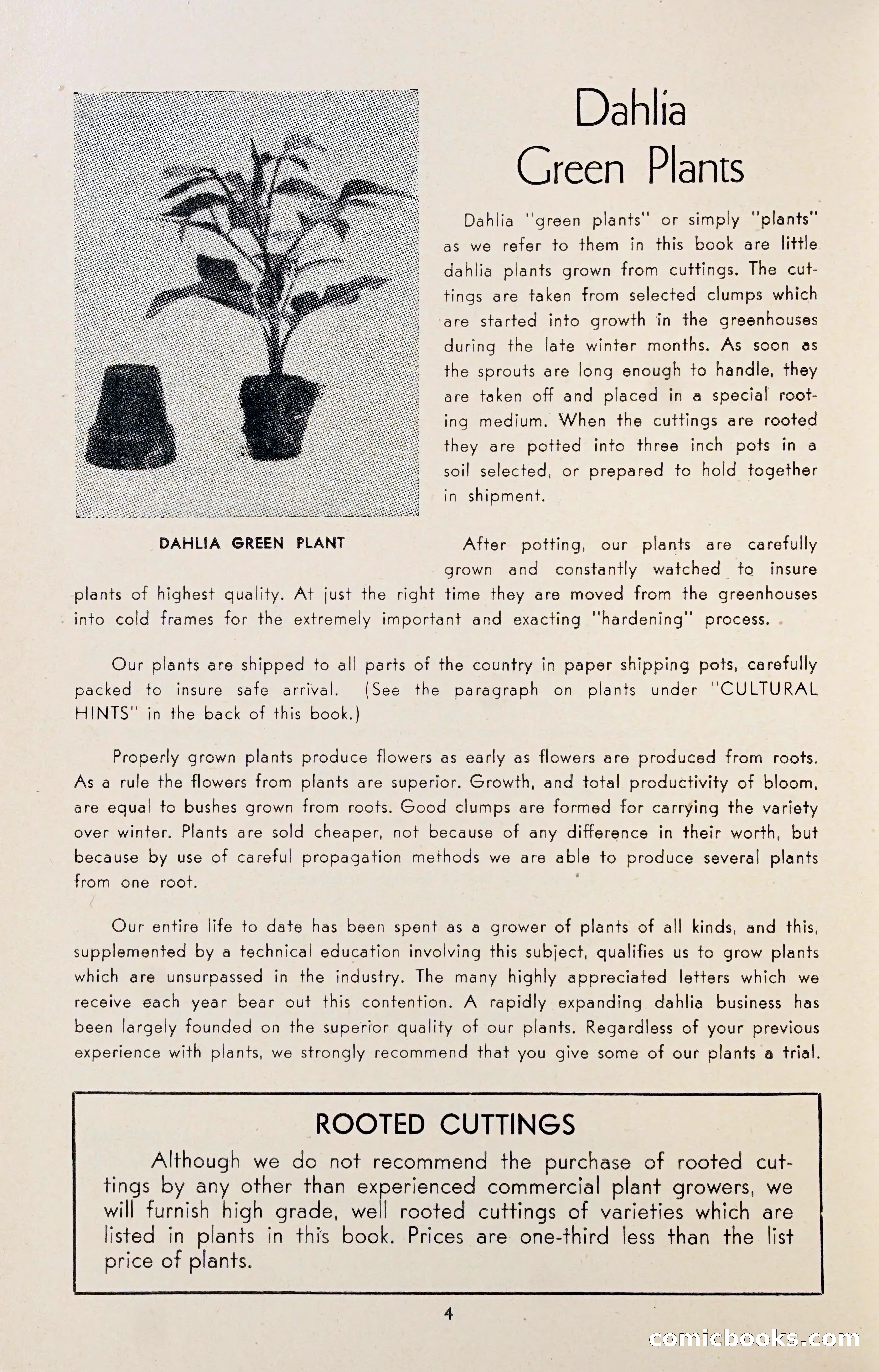 Dahlia Blue Book for 1947 — page 9 of 54