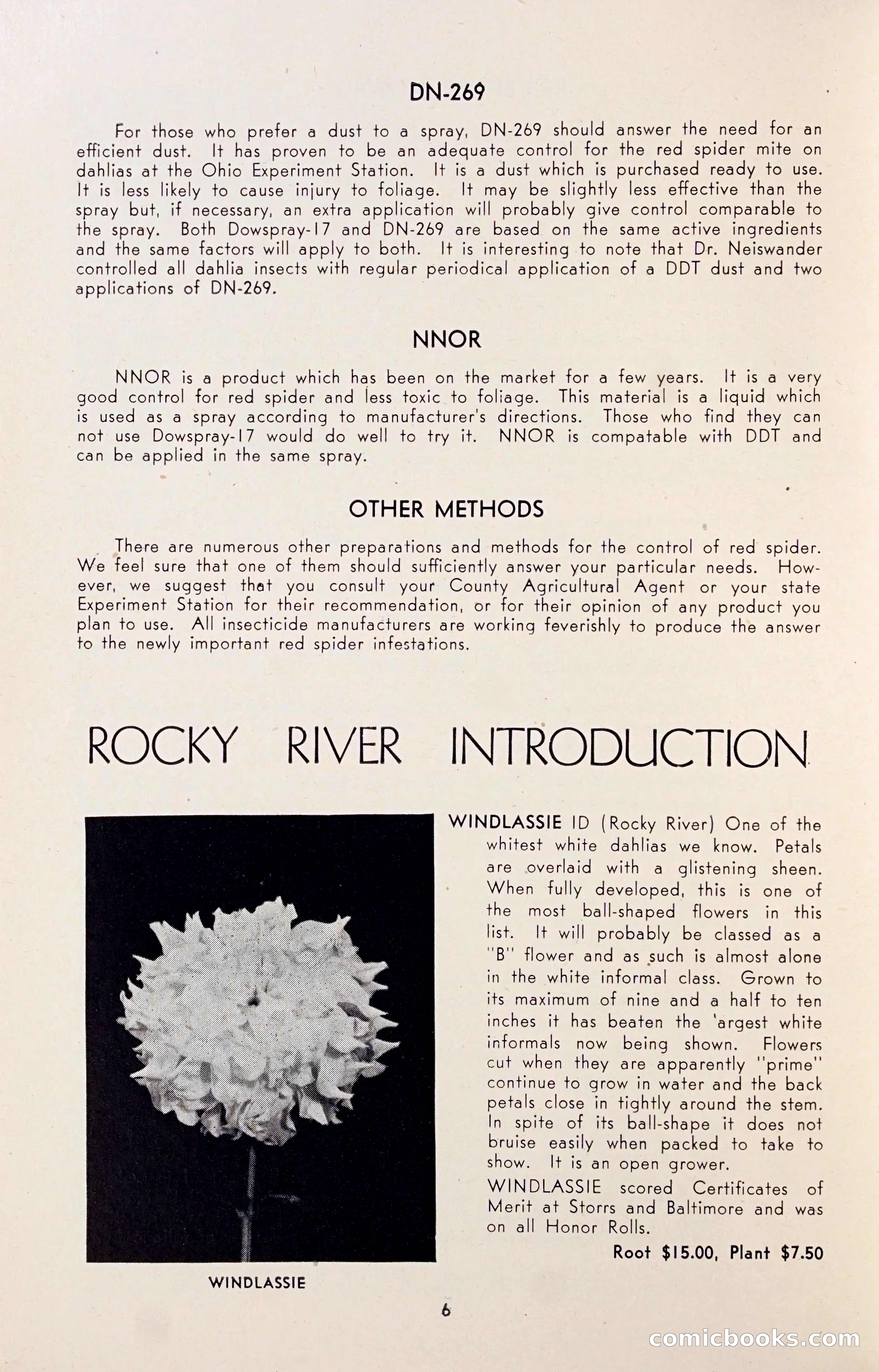 Dahlia Blue Book for 1947 — page 11 of 54