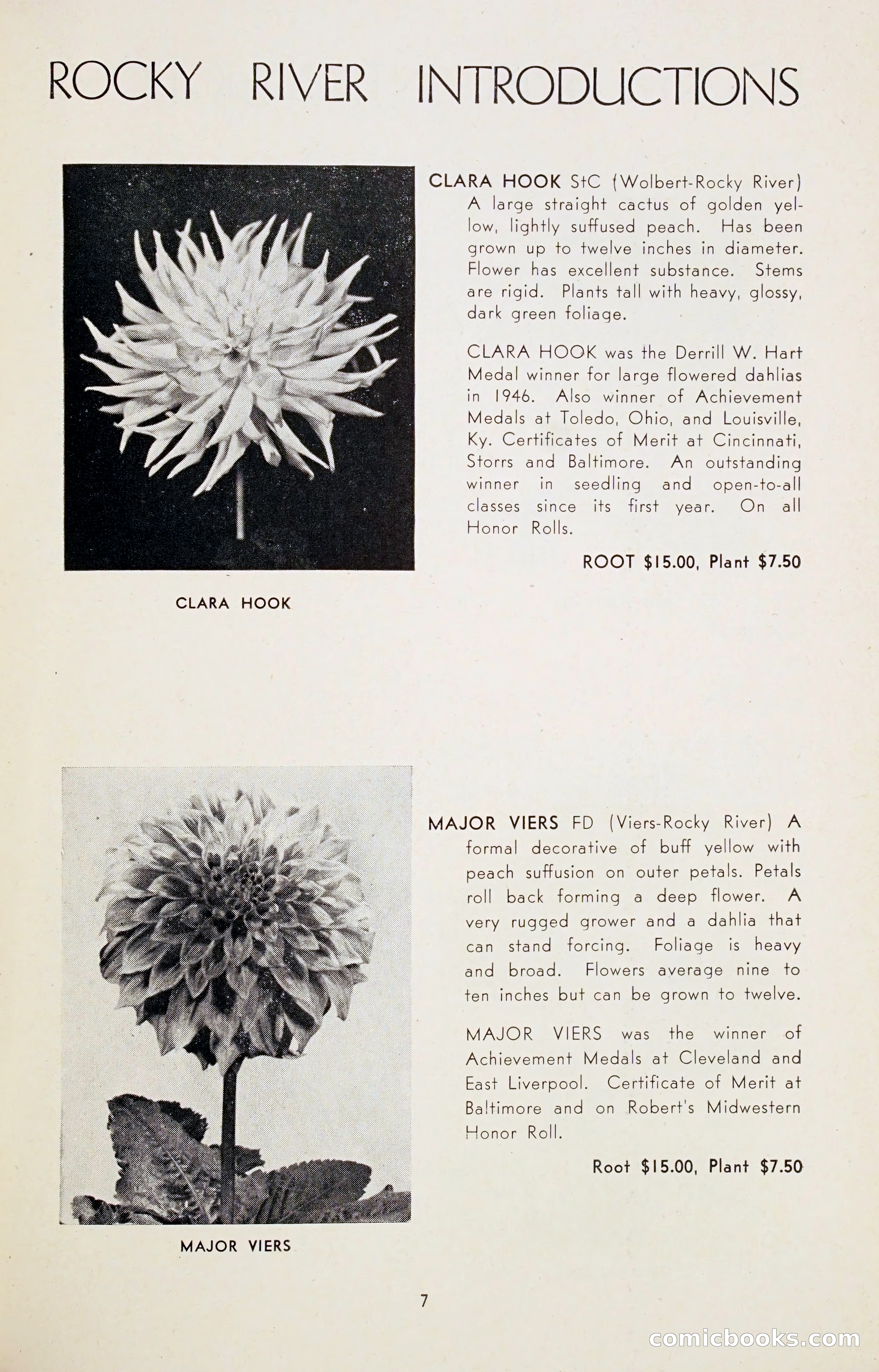 Dahlia Blue Book for 1947 — page 12 of 54