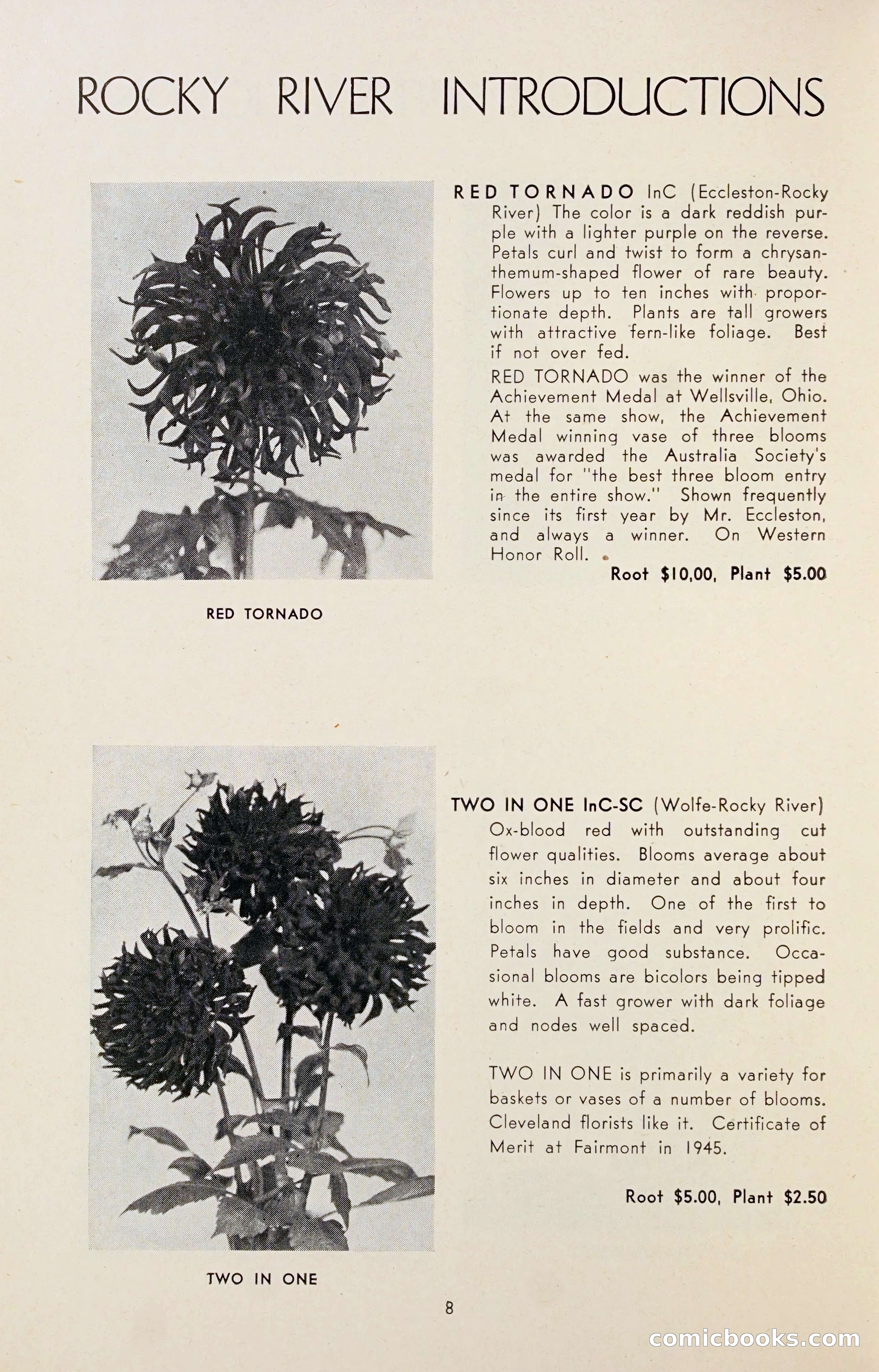 Dahlia Blue Book for 1947 — page 13 of 54