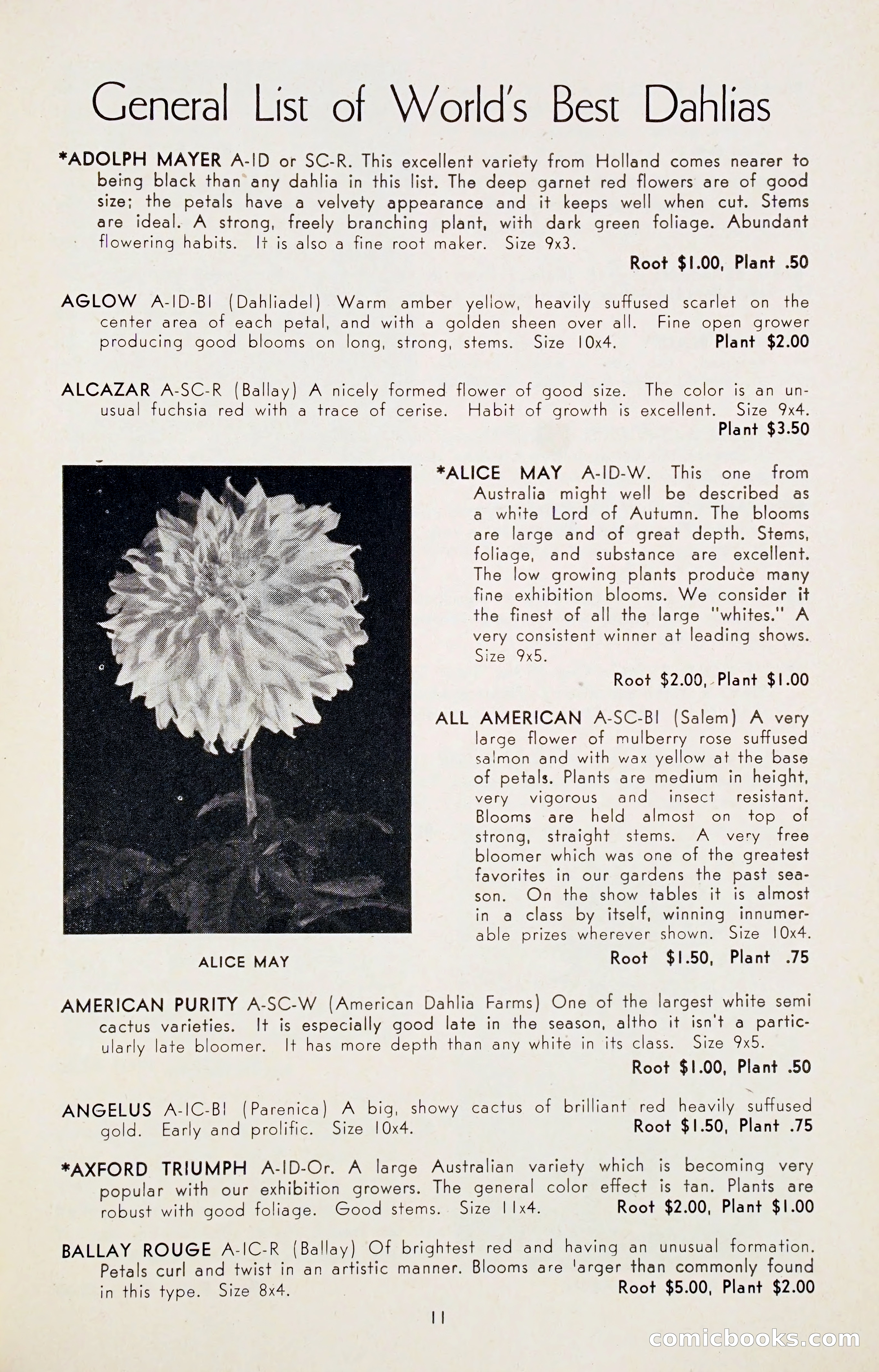 Dahlia Blue Book for 1947 — page 16 of 54