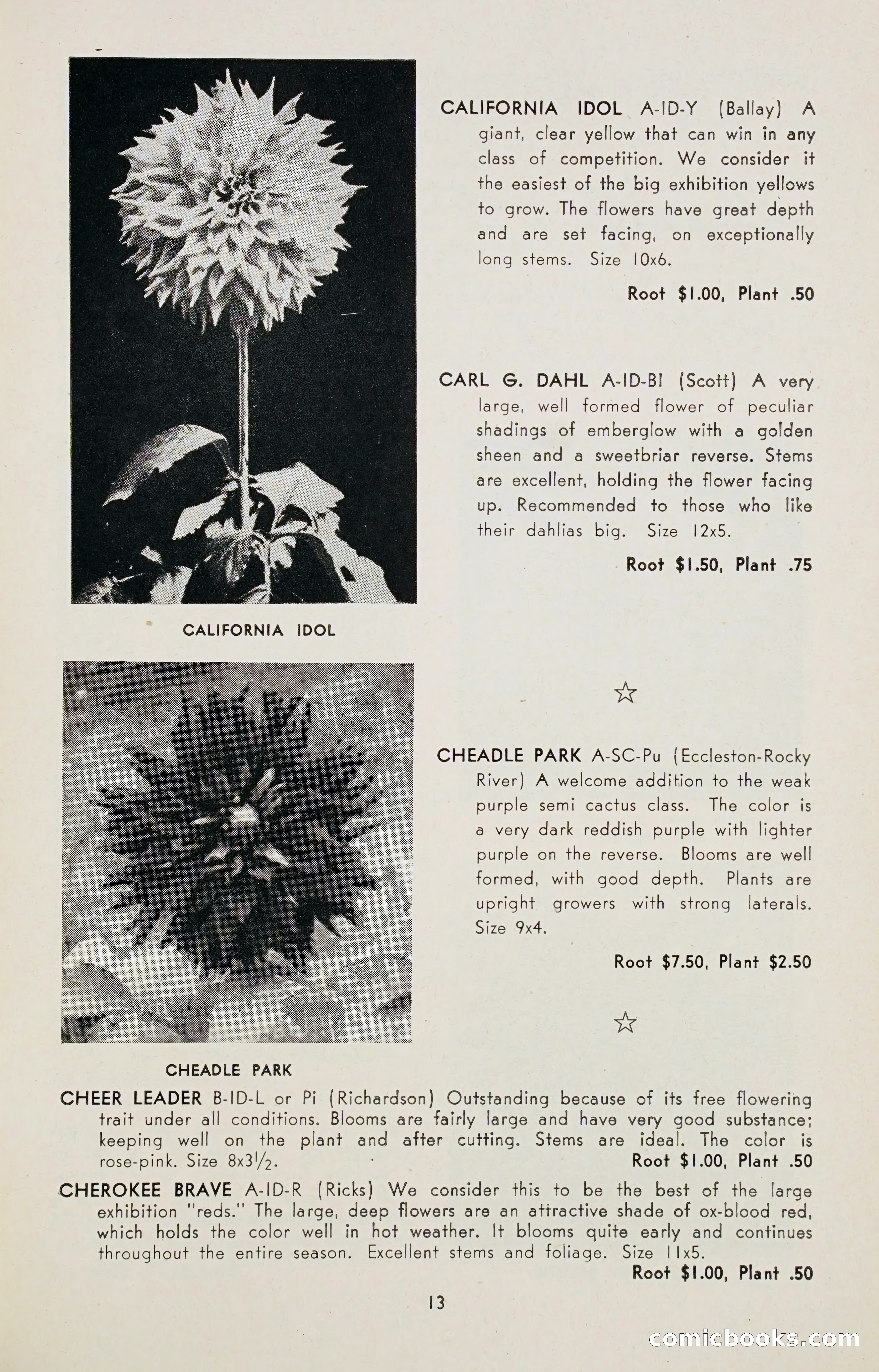 Dahlia Blue Book for 1947 — page 18 of 54