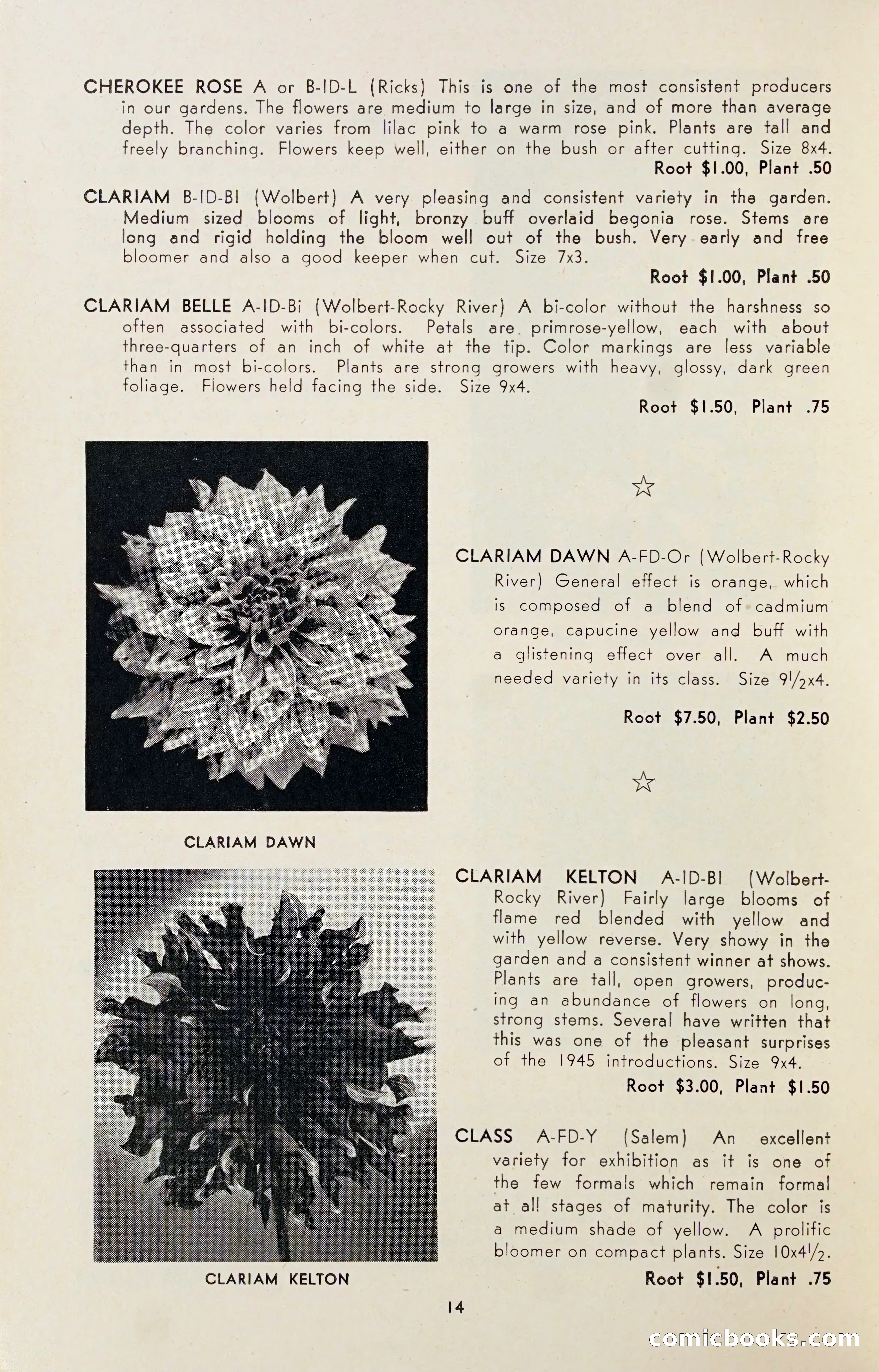 Dahlia Blue Book for 1947 — page 19 of 54