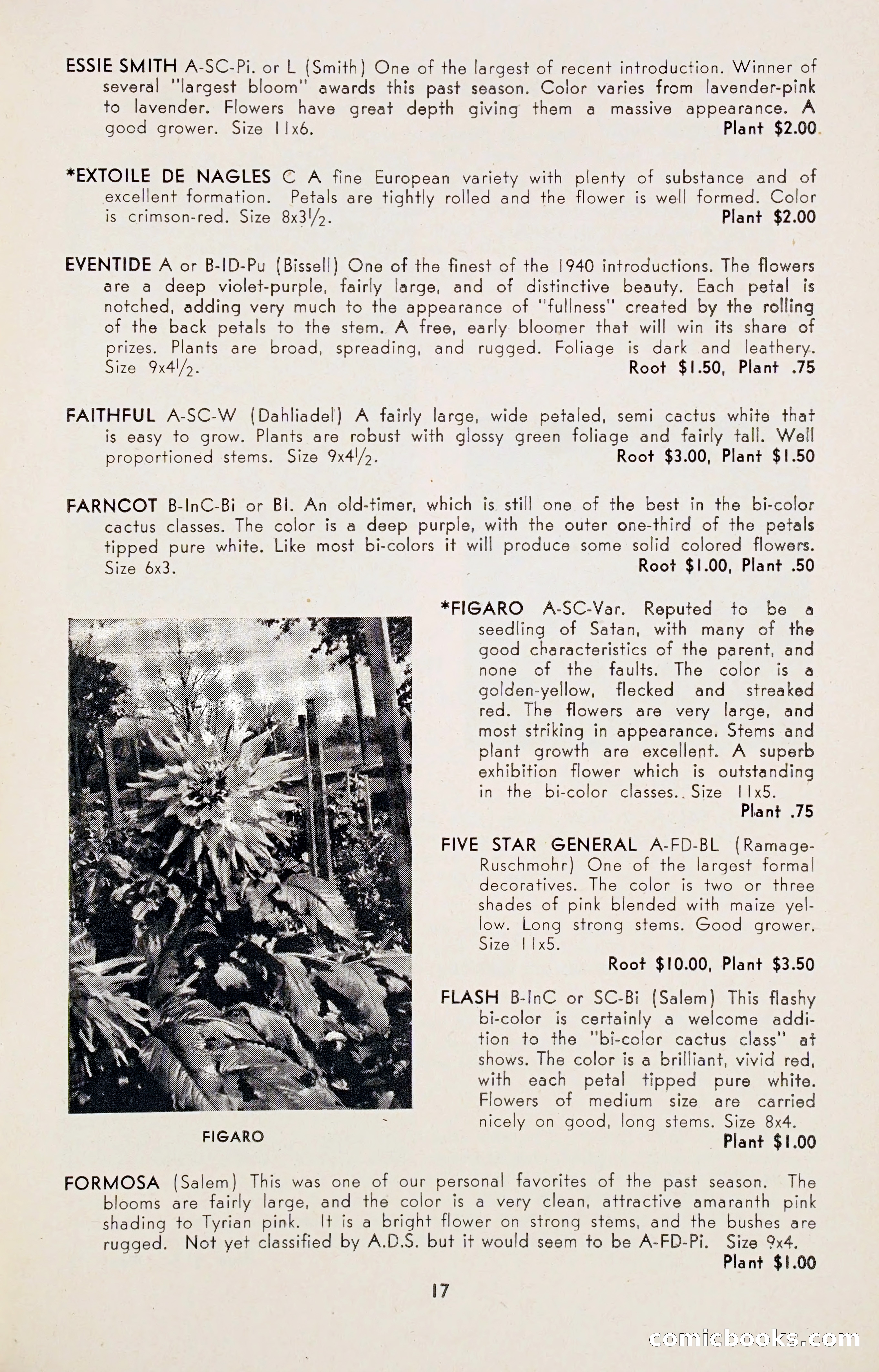 Dahlia Blue Book for 1947 — page 22 of 54