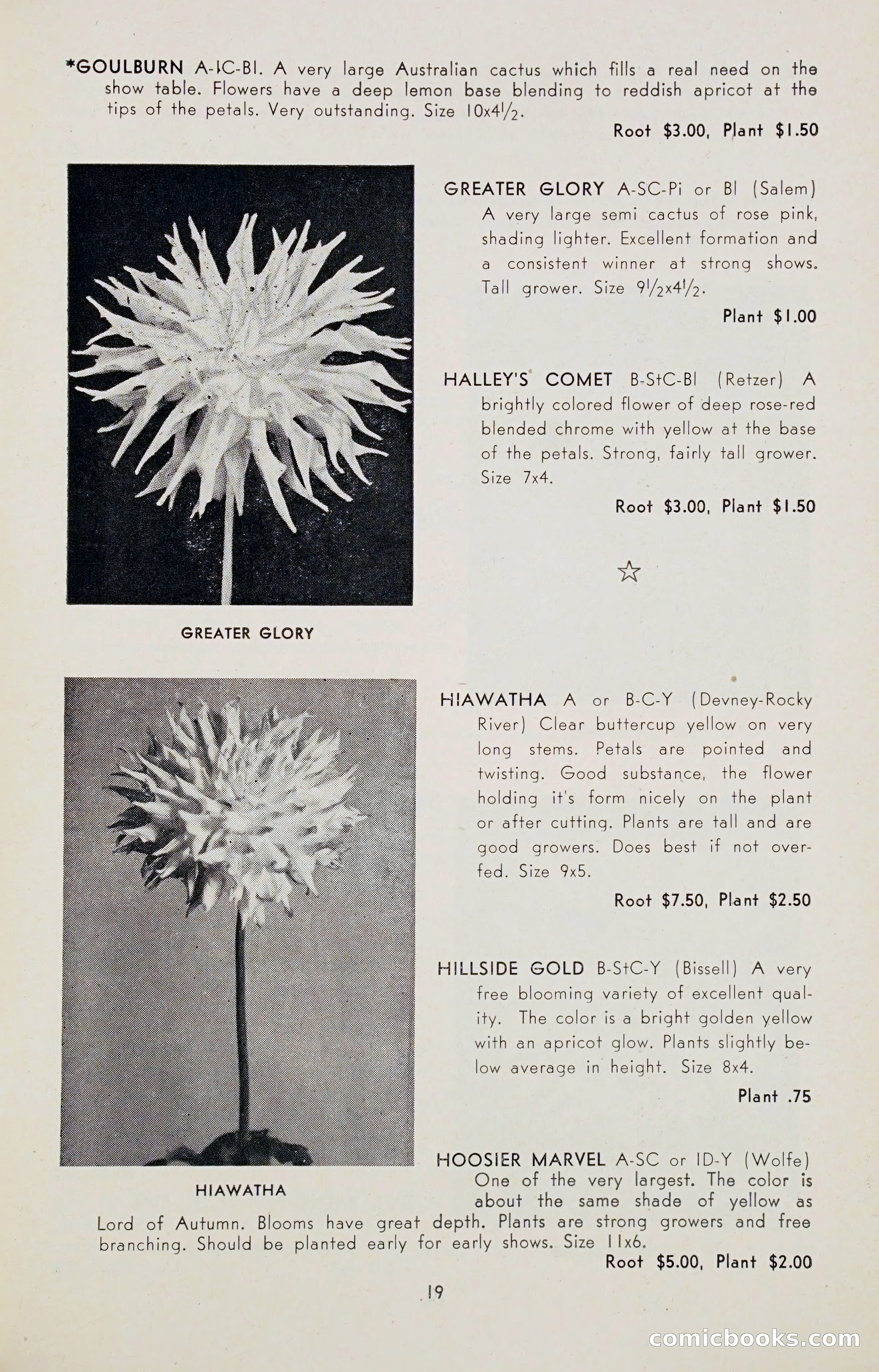 Dahlia Blue Book for 1947 — page 24 of 54