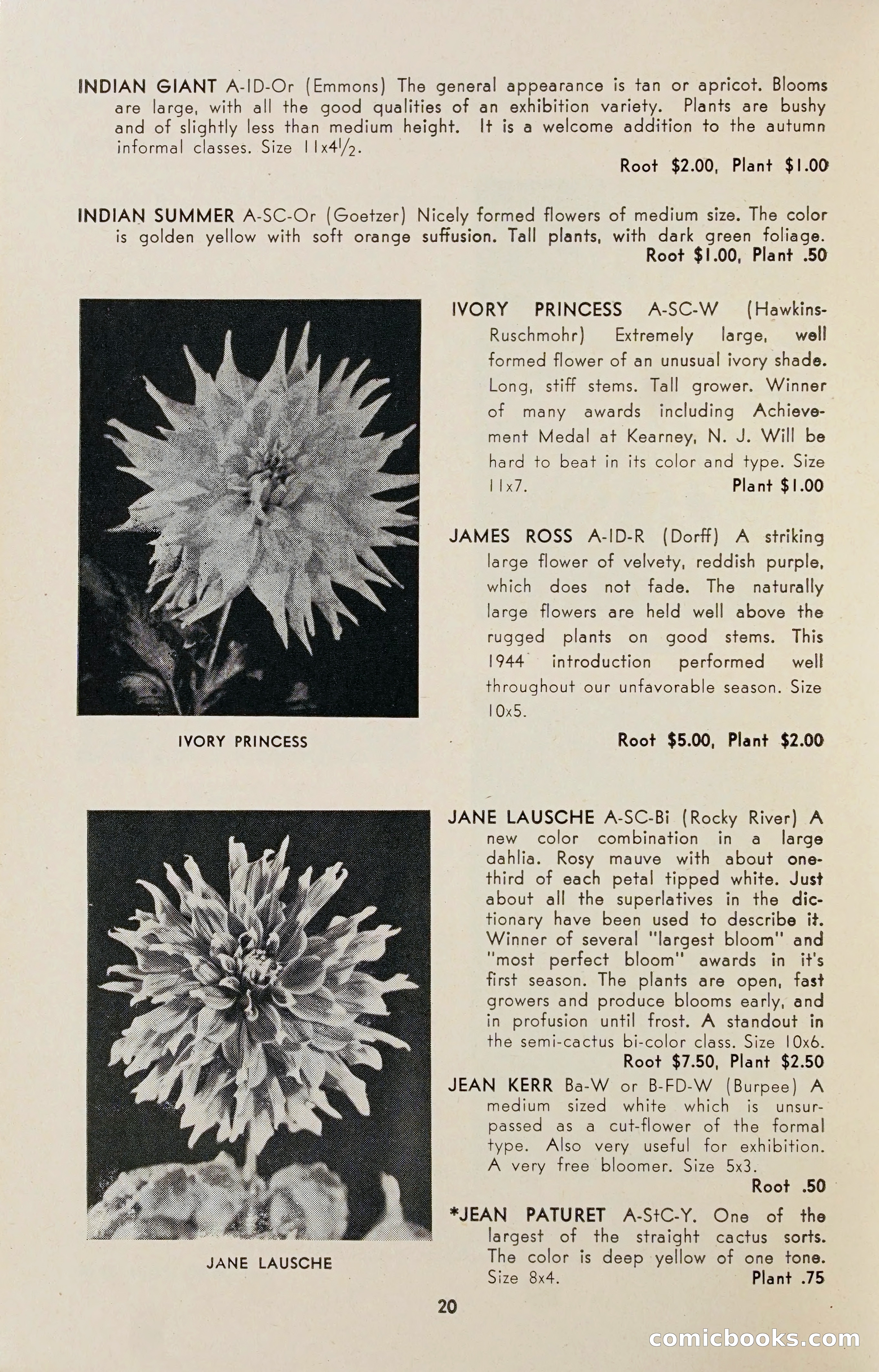 Dahlia Blue Book for 1947 — page 25 of 54