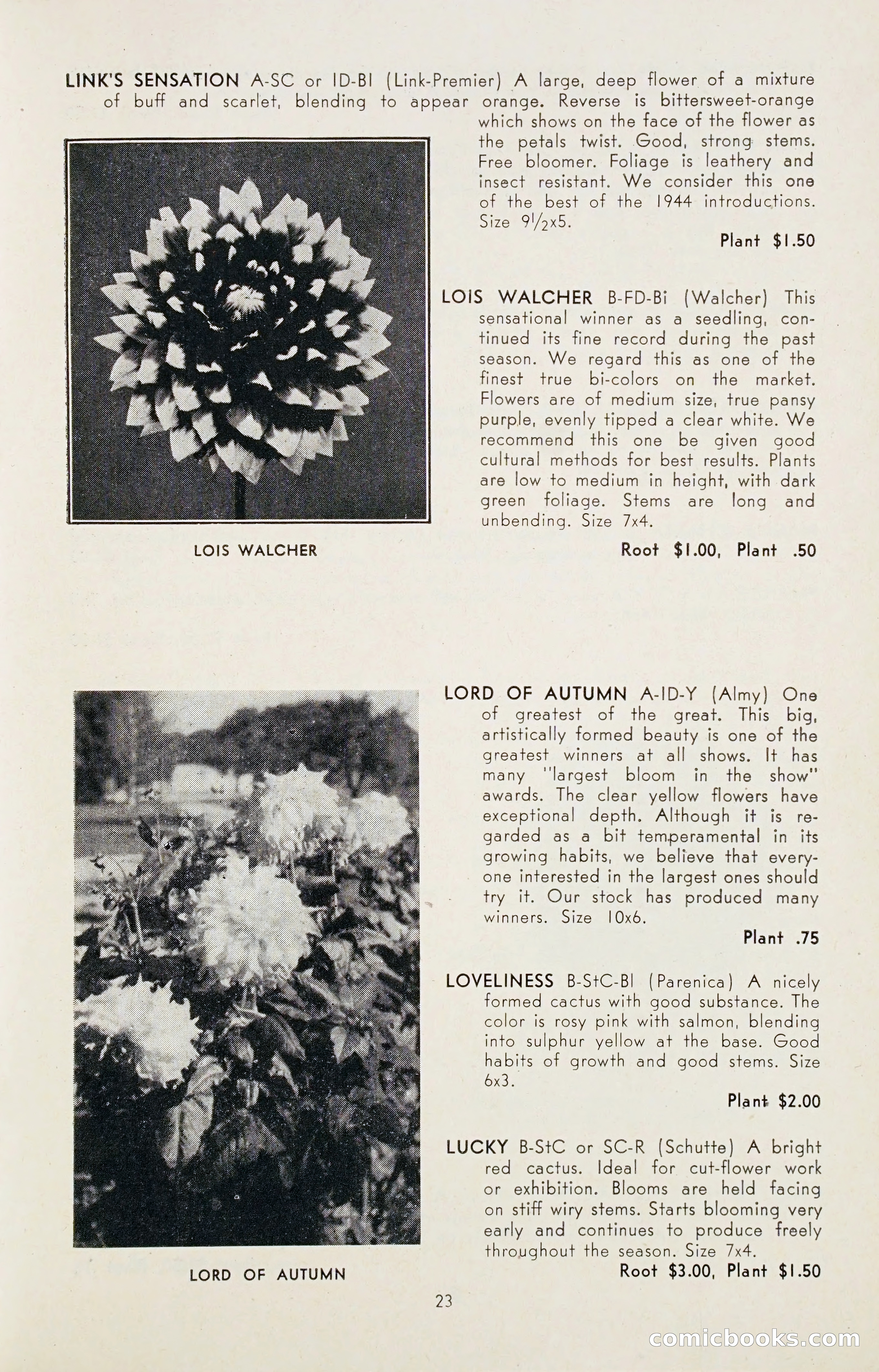 Dahlia Blue Book for 1947 — page 28 of 54