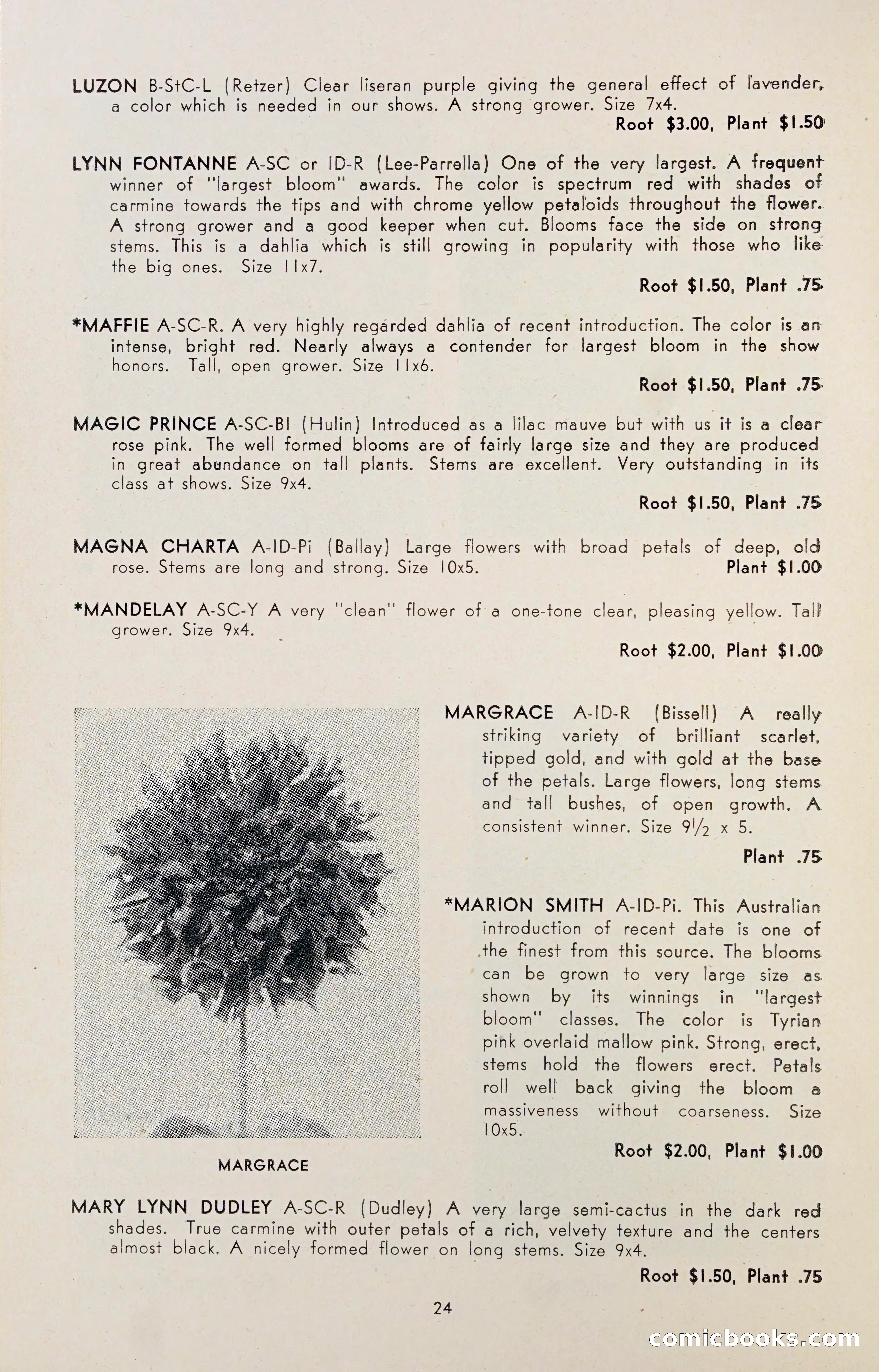 Dahlia Blue Book for 1947 — page 29 of 54