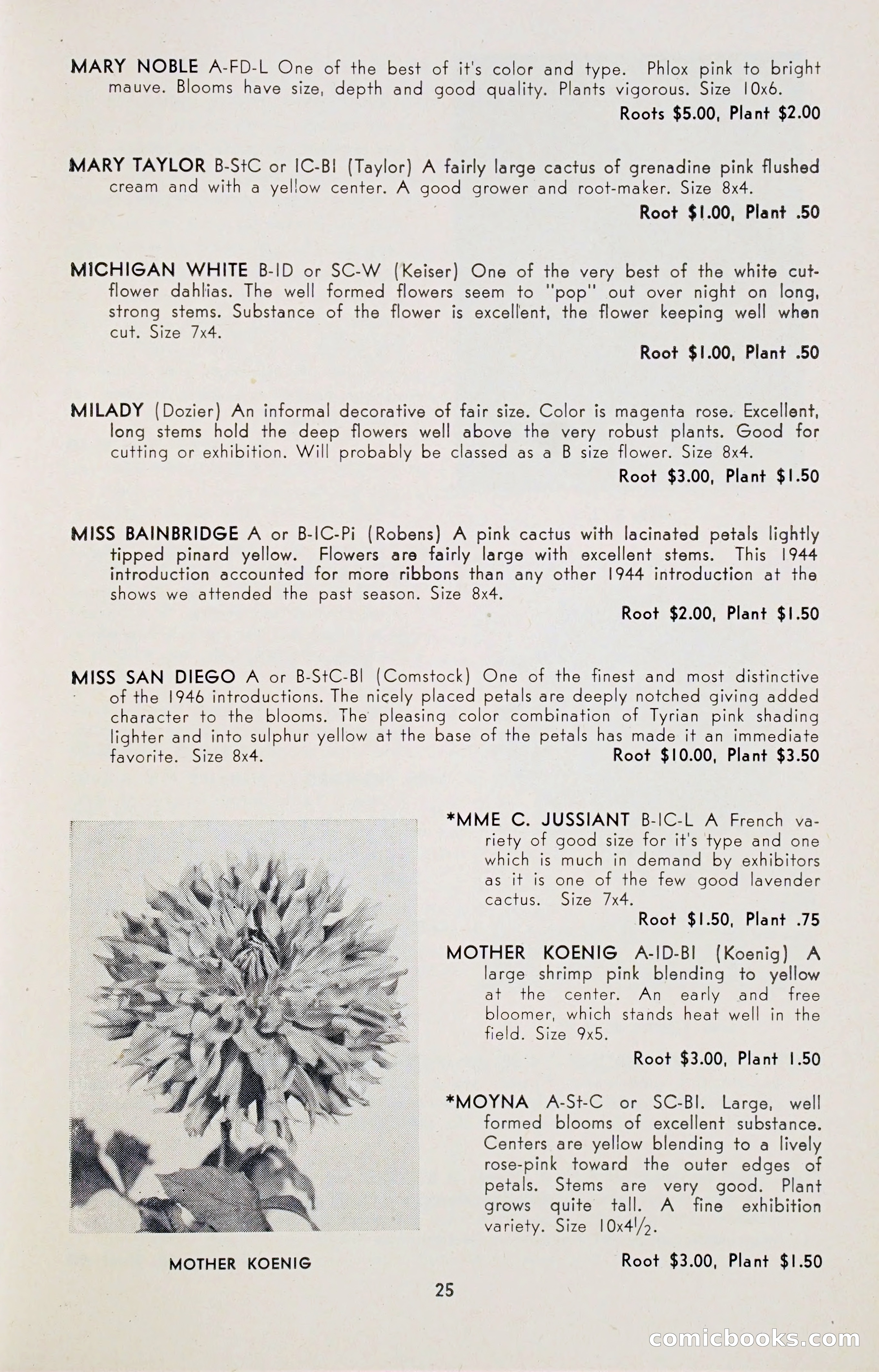 Dahlia Blue Book for 1947 — page 30 of 54