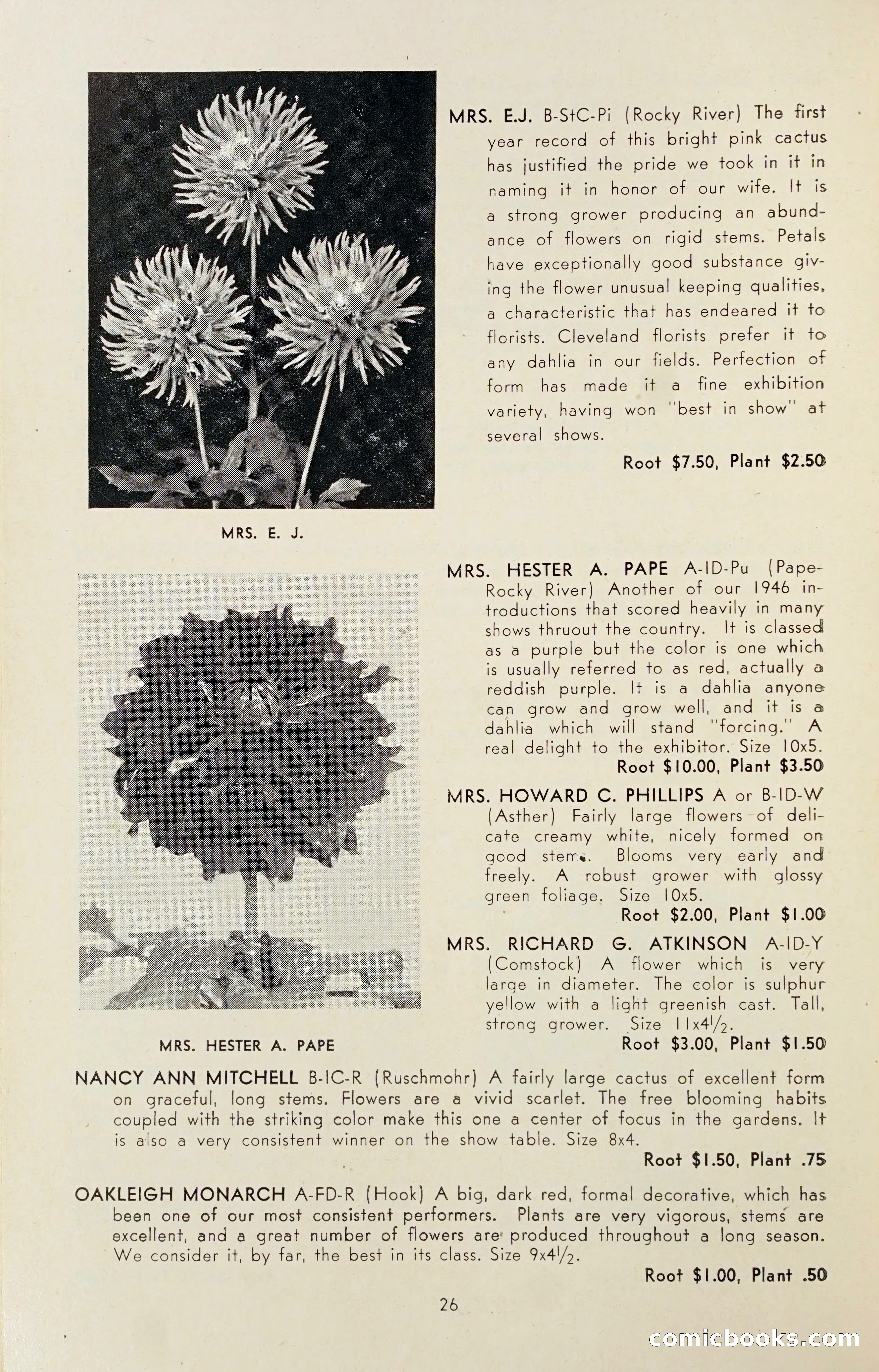 Dahlia Blue Book for 1947 — page 31 of 54