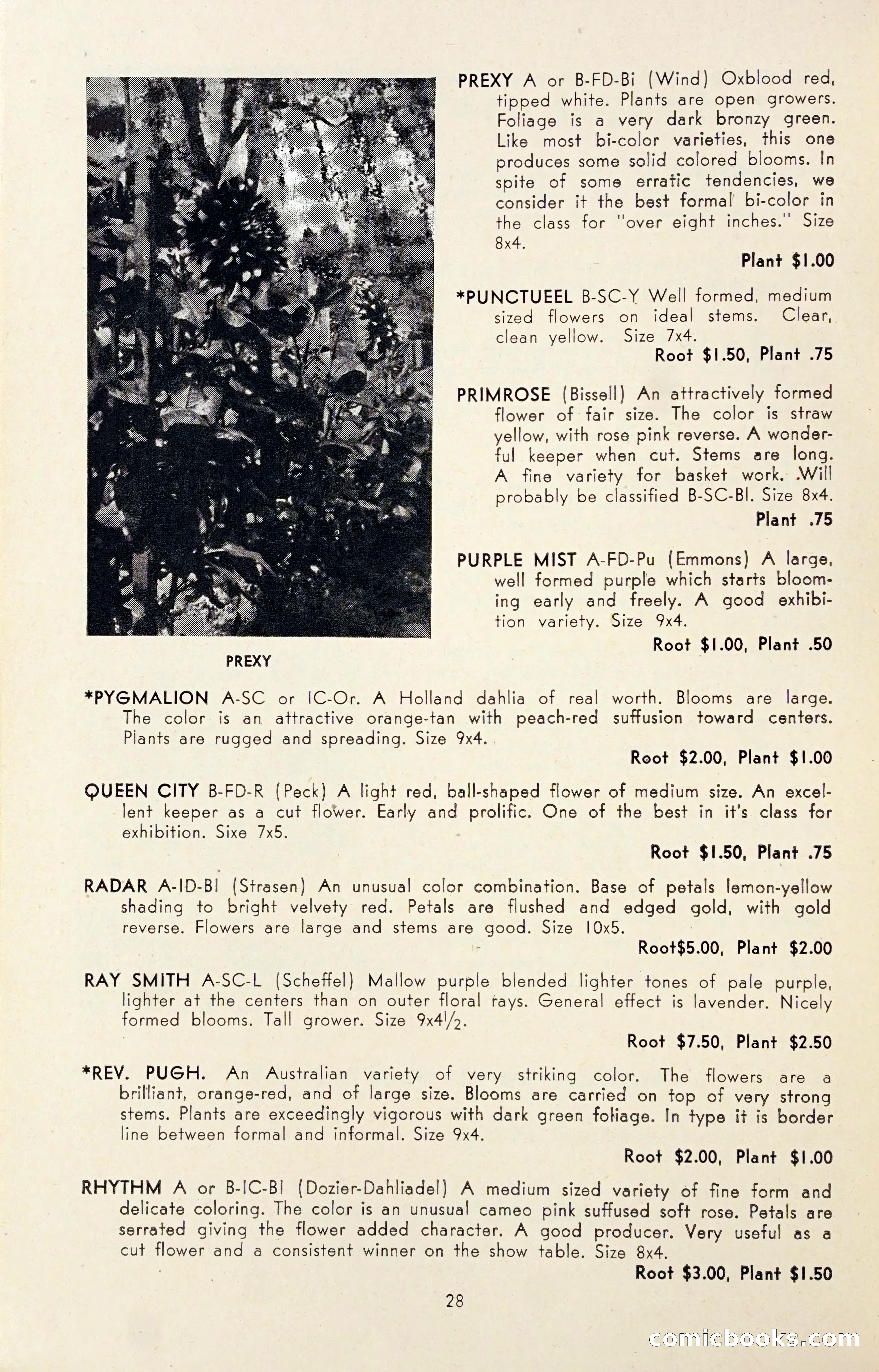 Dahlia Blue Book for 1947 — page 33 of 54