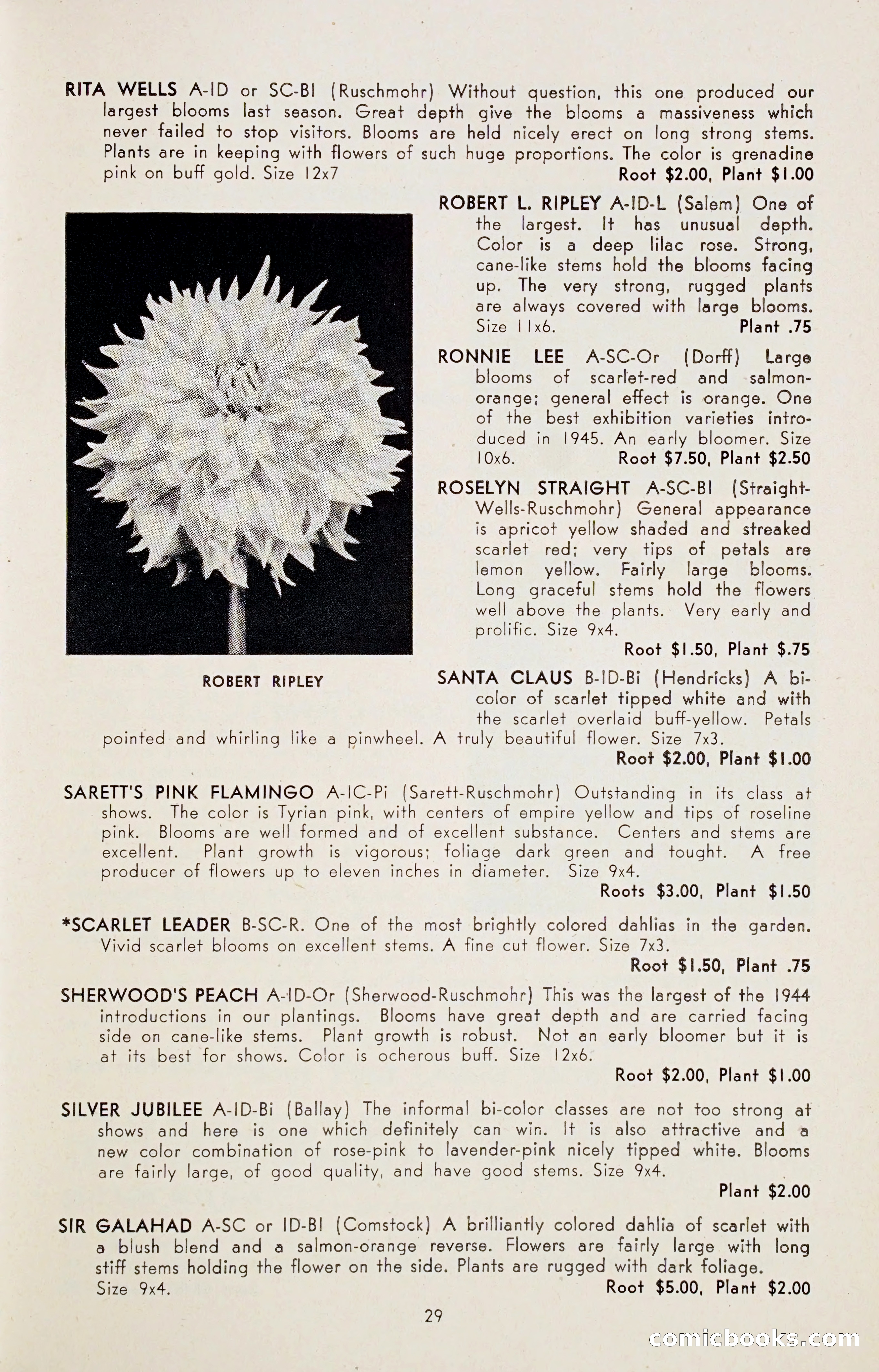 Dahlia Blue Book for 1947 — page 34 of 54