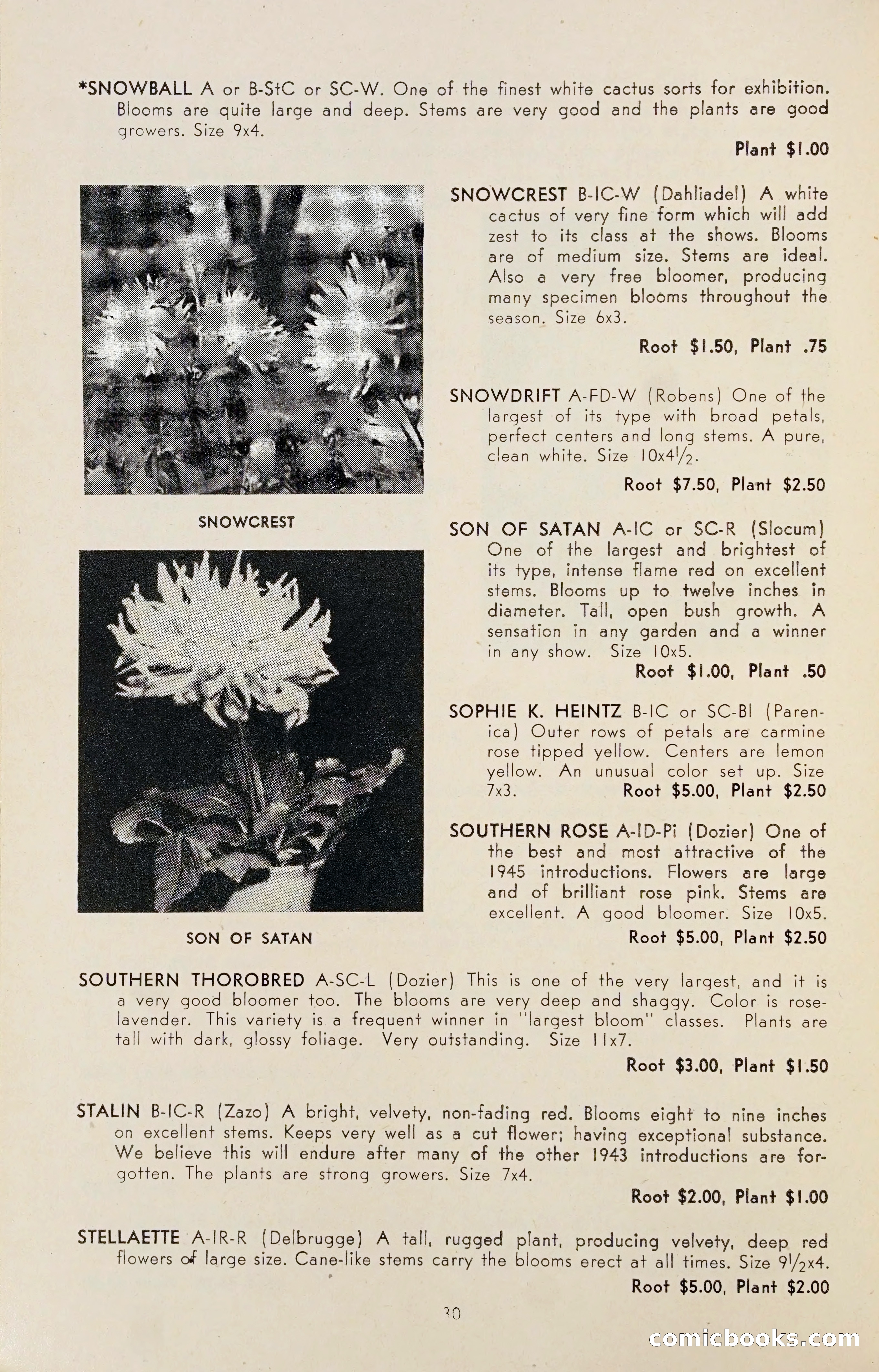 Dahlia Blue Book for 1947 — page 35 of 54