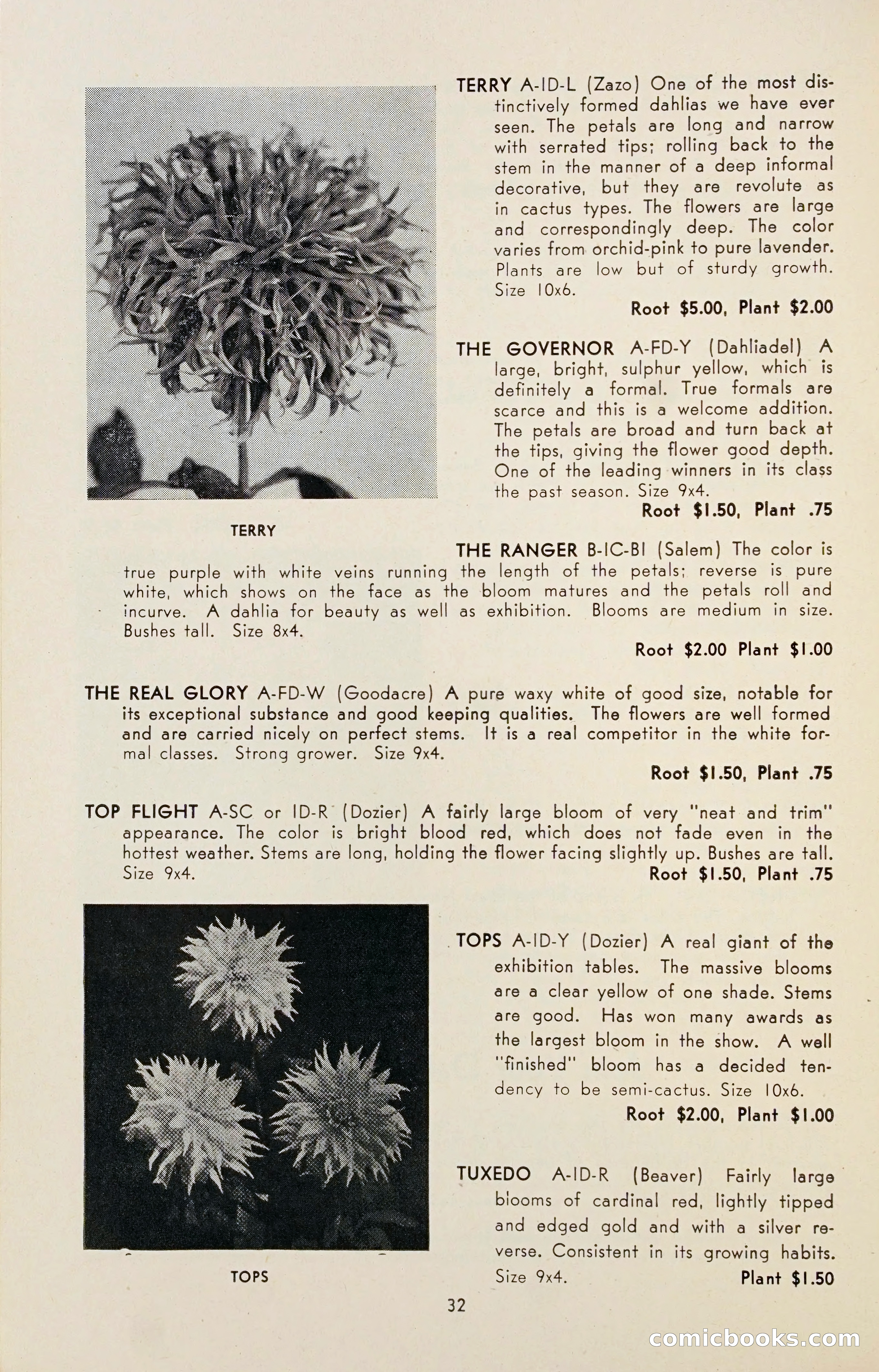 Dahlia Blue Book for 1947 — page 37 of 54