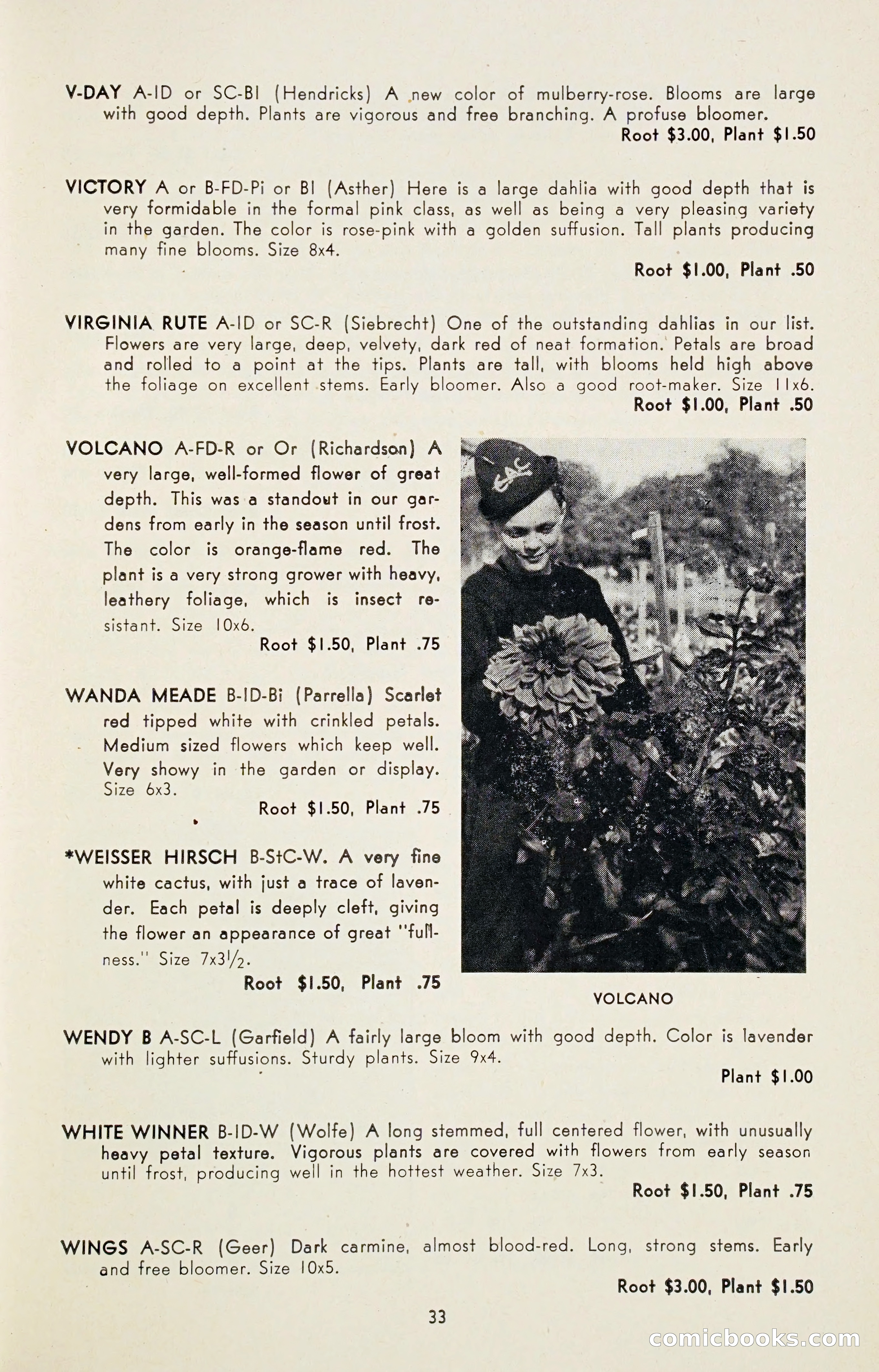 Dahlia Blue Book for 1947 — page 38 of 54