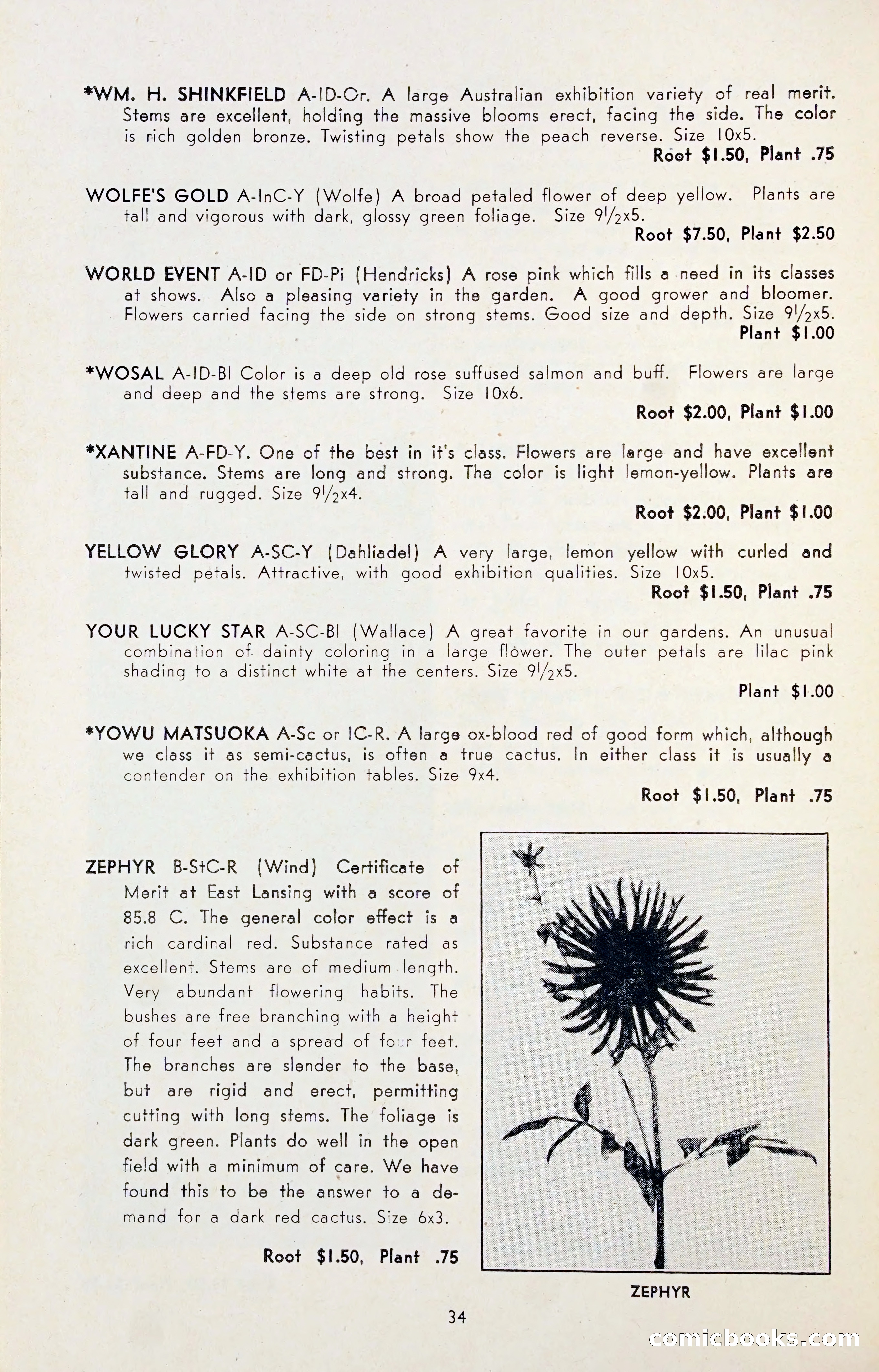 Dahlia Blue Book for 1947 — page 39 of 54