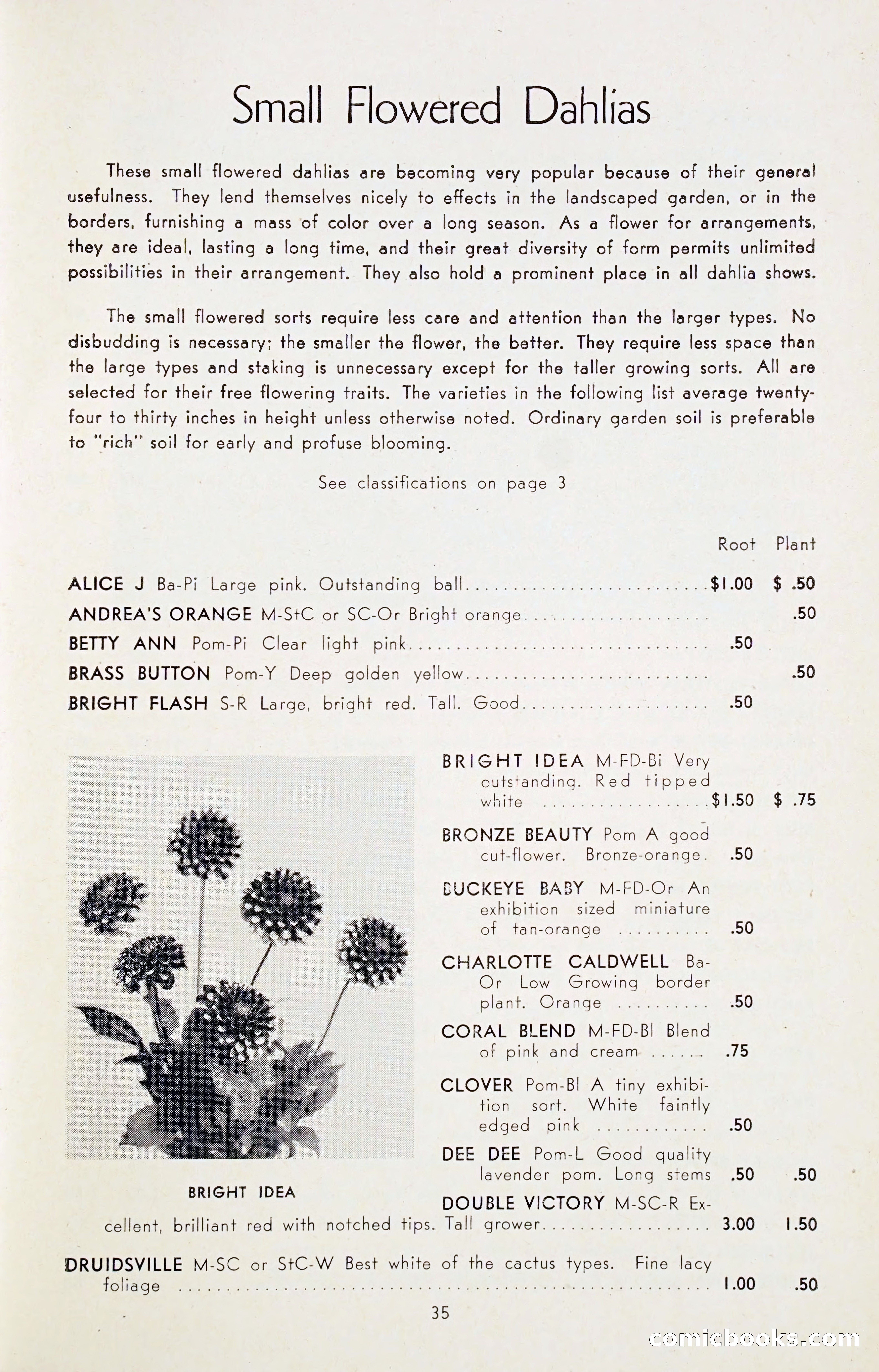 Dahlia Blue Book for 1947 — page 40 of 54