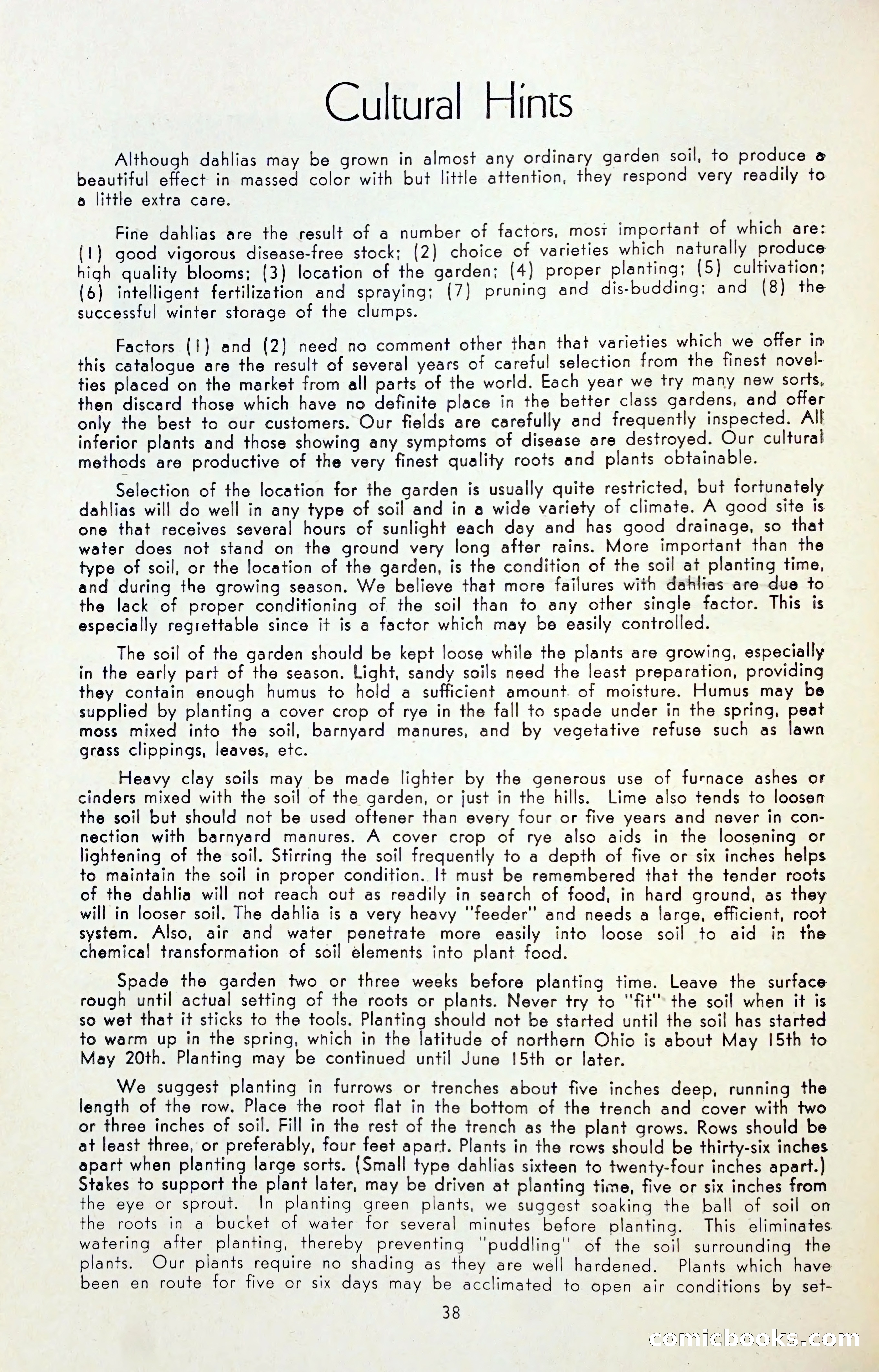 Dahlia Blue Book for 1947 — page 43 of 54