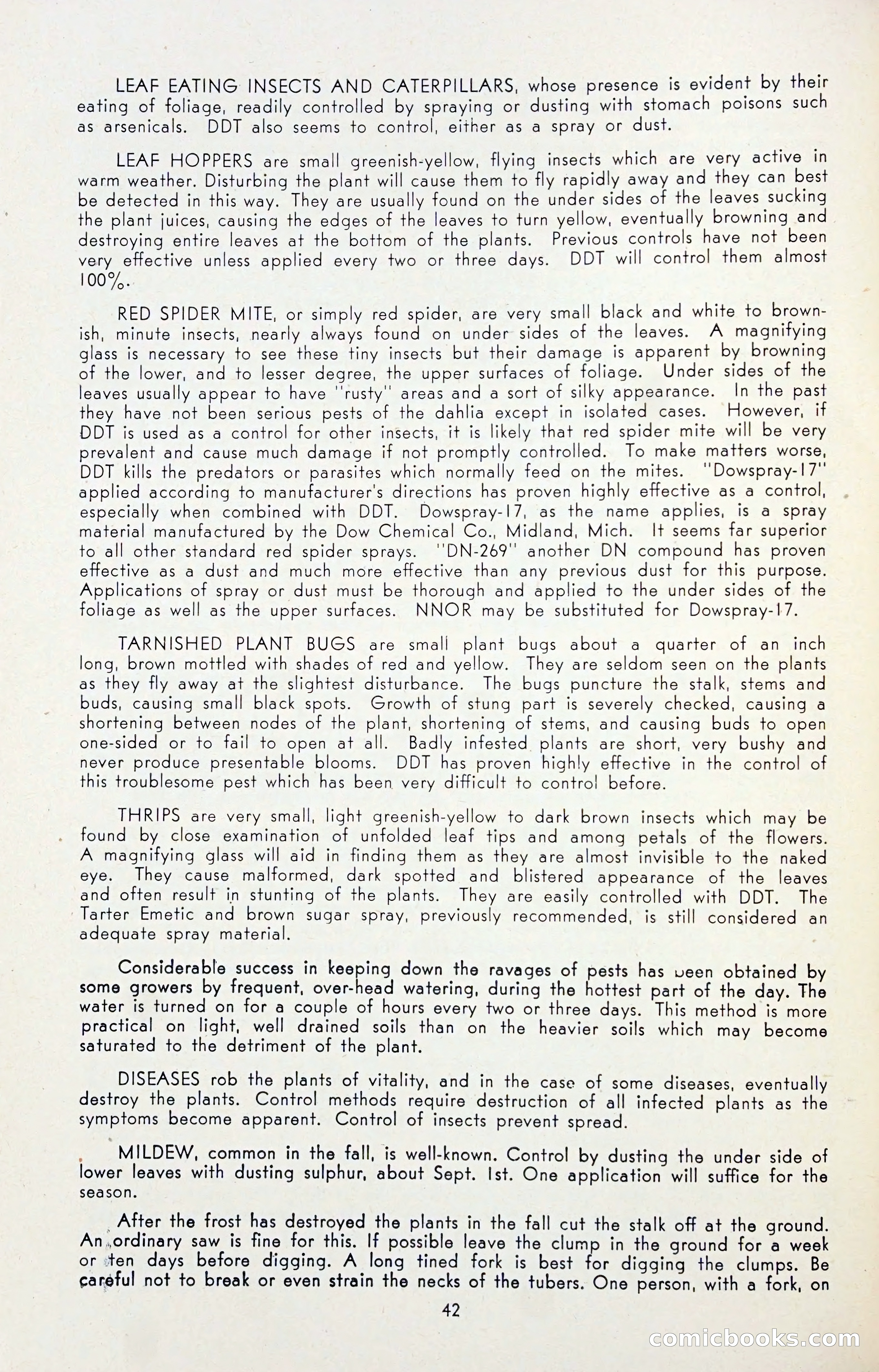 Dahlia Blue Book for 1947 — page 47 of 54