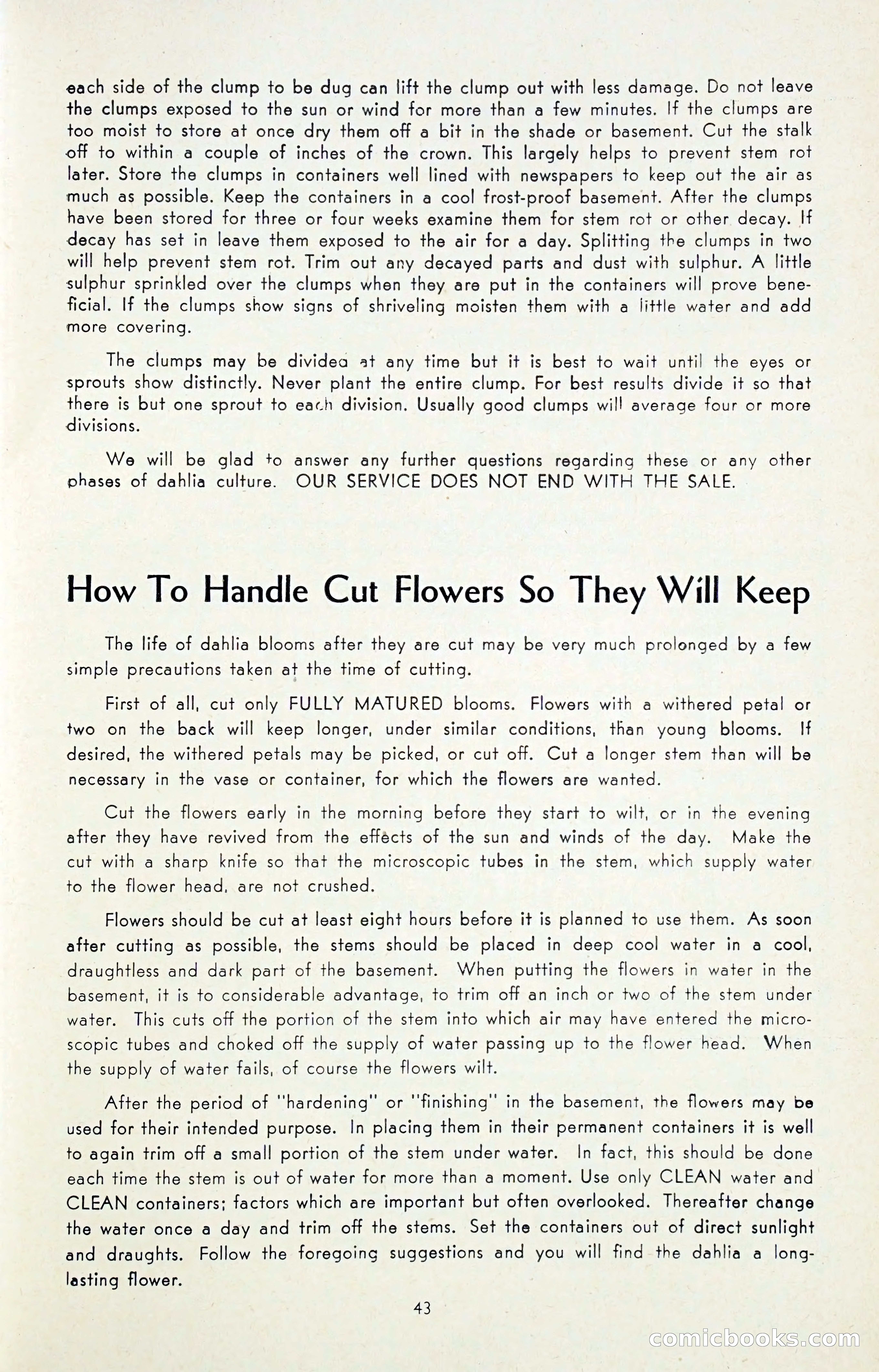 Dahlia Blue Book for 1947 — page 48 of 54