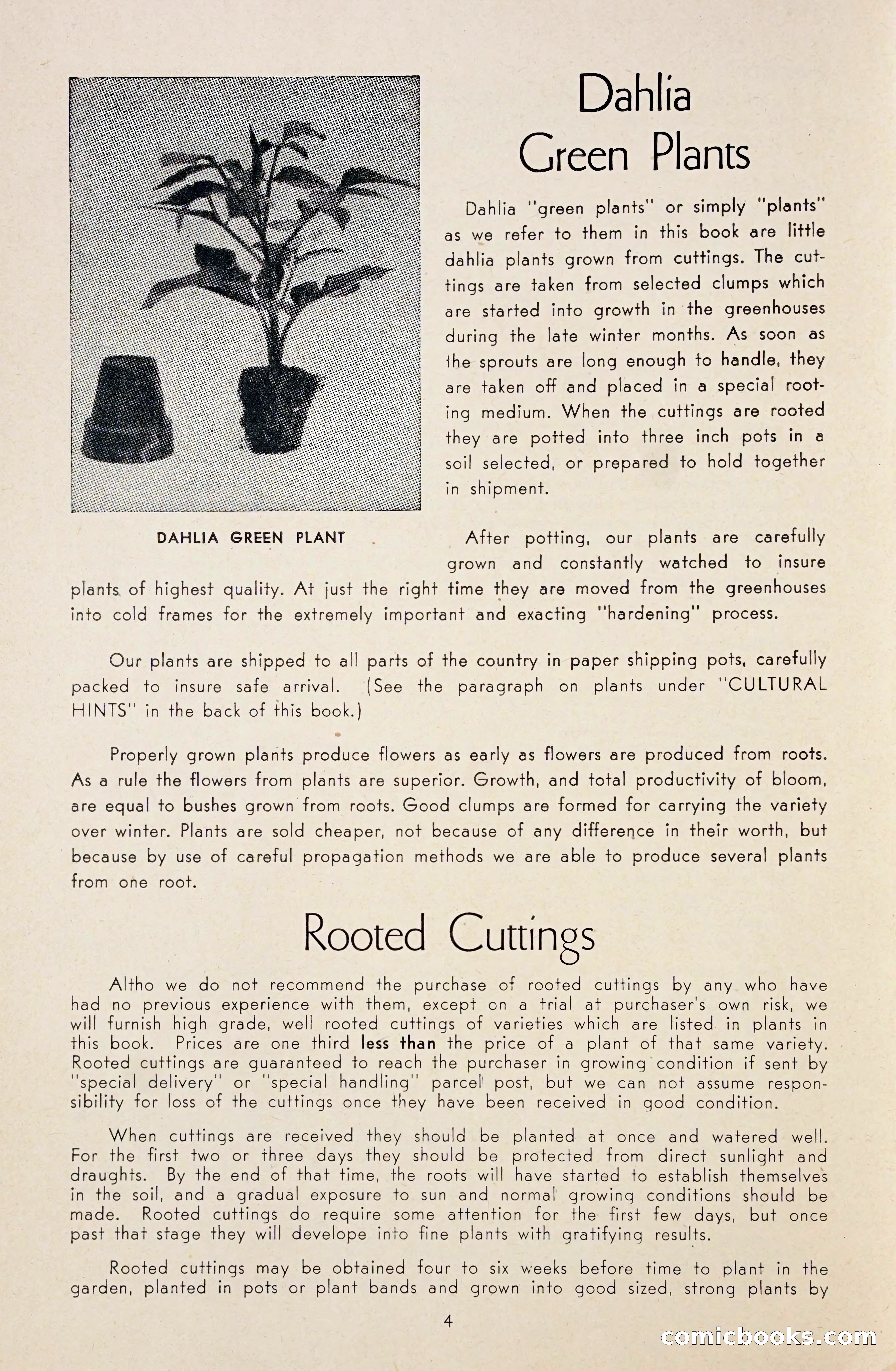 Dahlia Blue Book for 1948 — page 9 of 58
