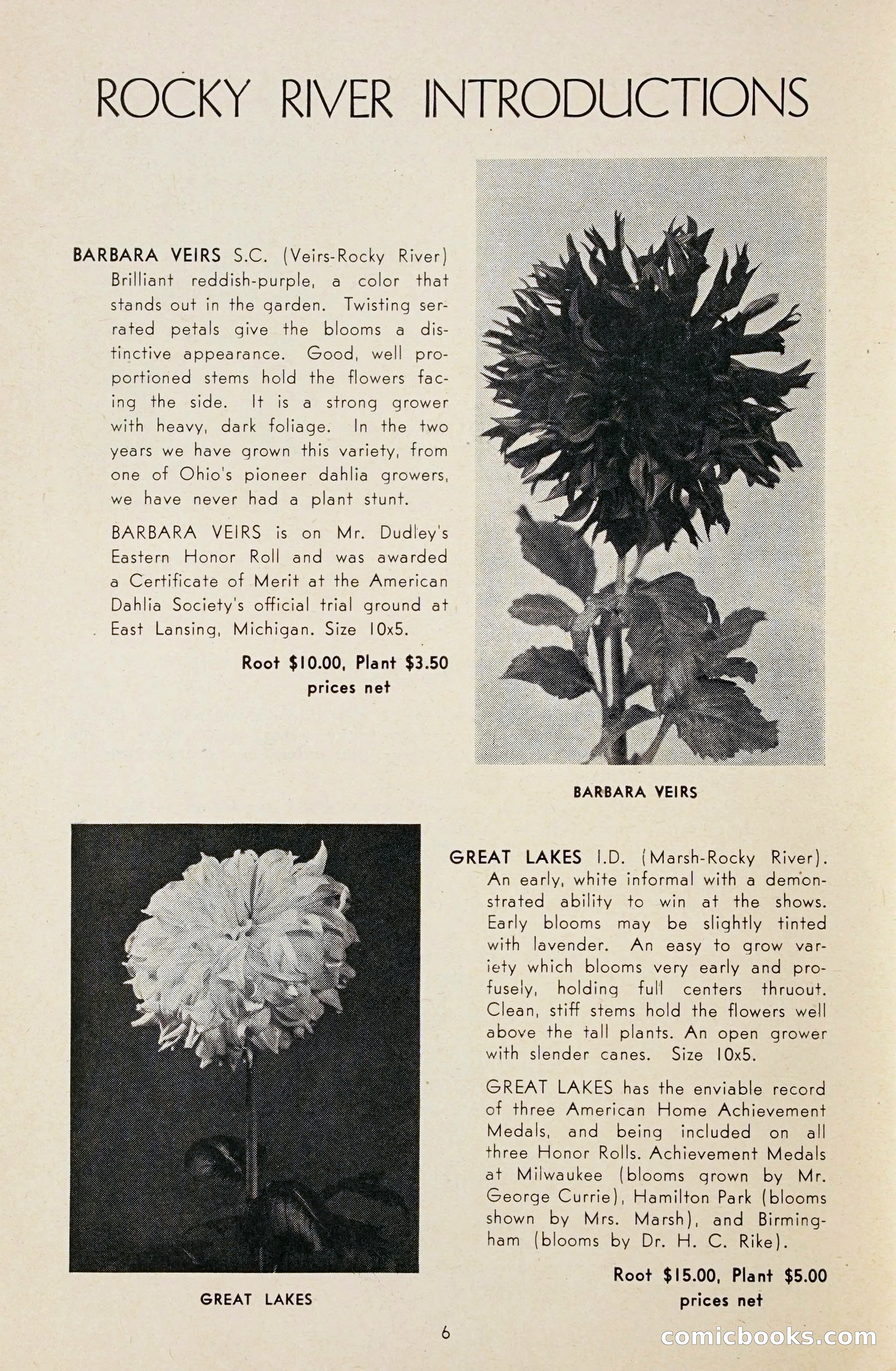 Dahlia Blue Book for 1948 — page 11 of 58