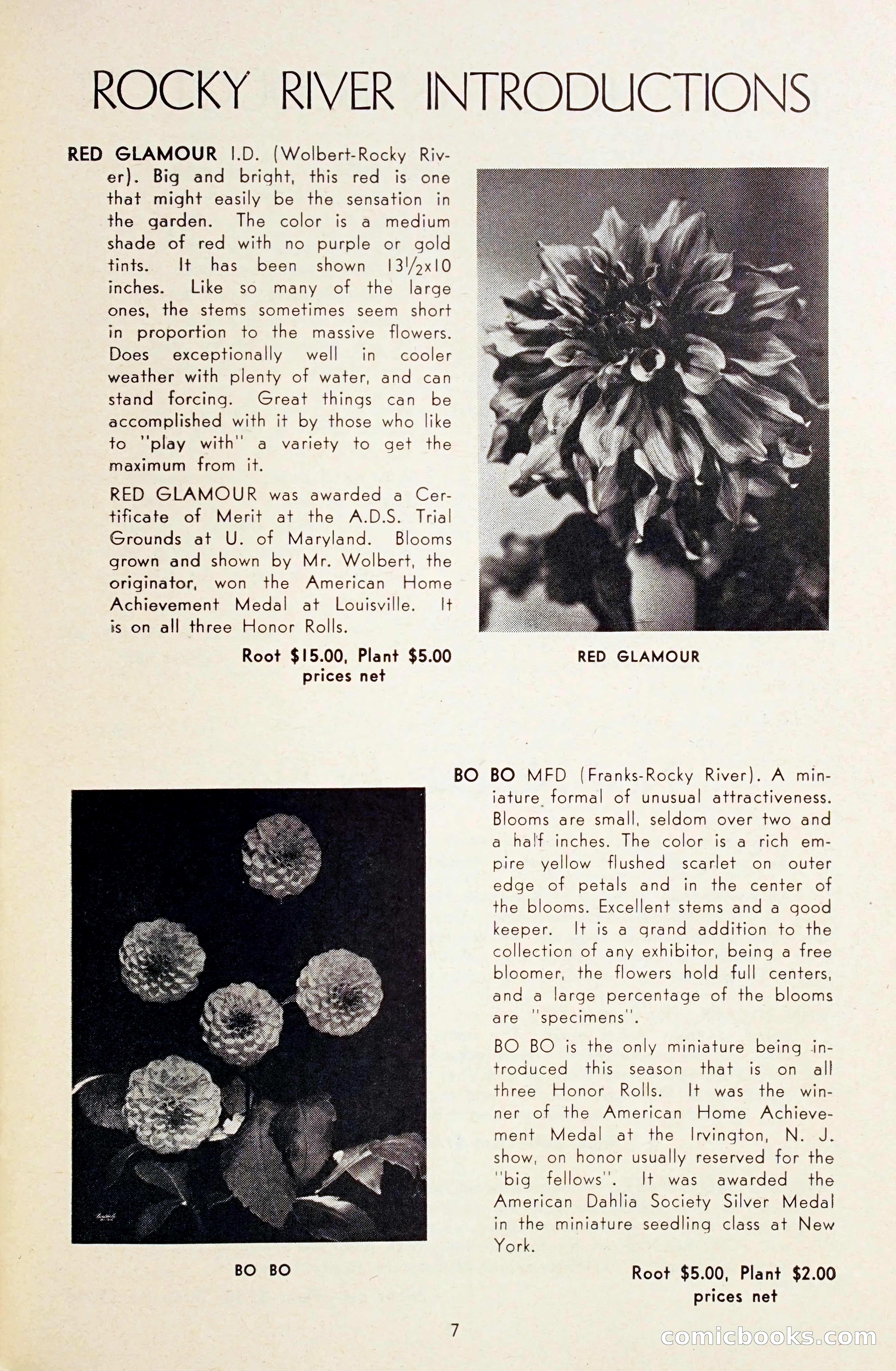 Dahlia Blue Book for 1948 — page 12 of 58