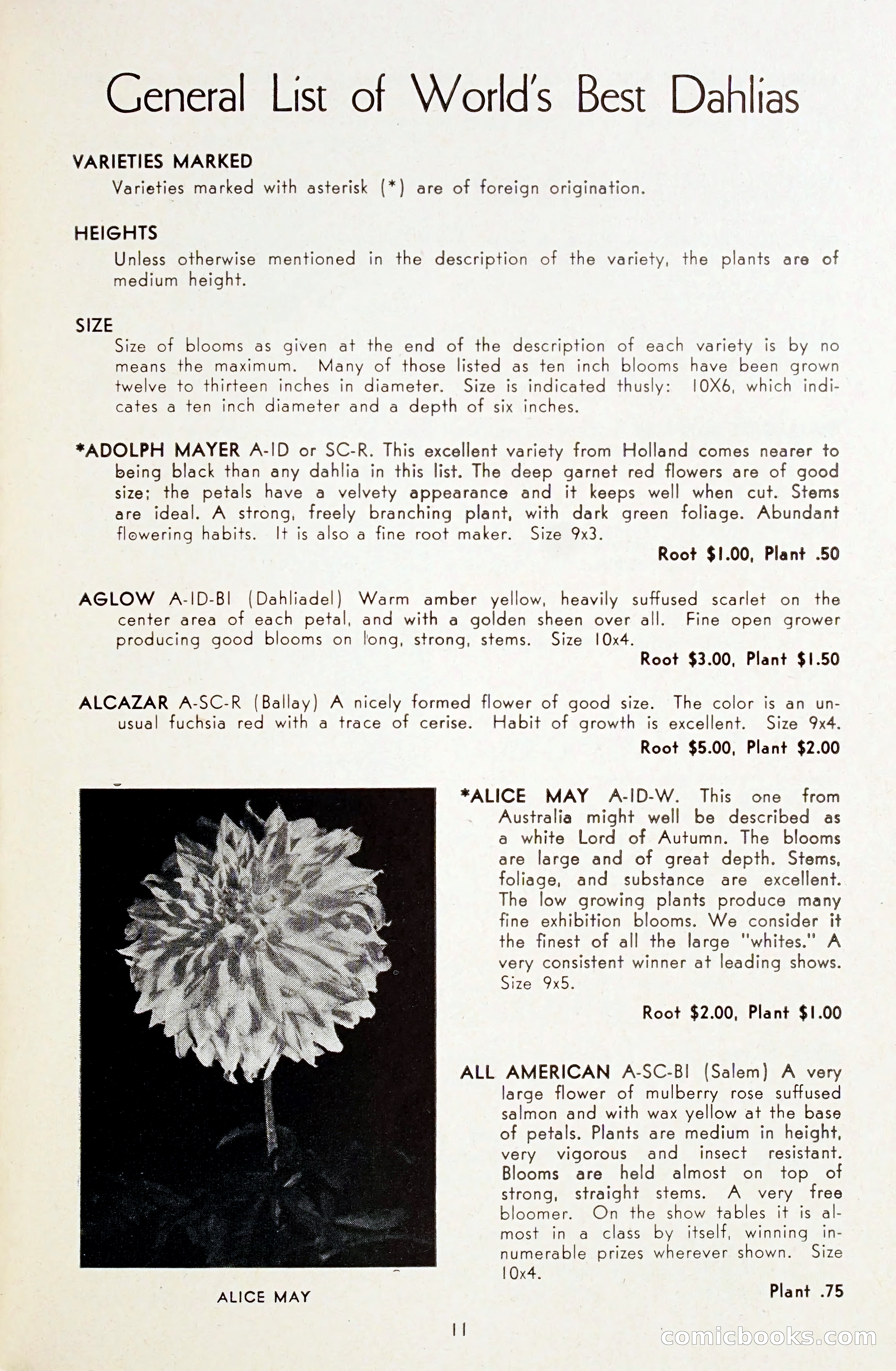 Dahlia Blue Book for 1948 — page 16 of 58