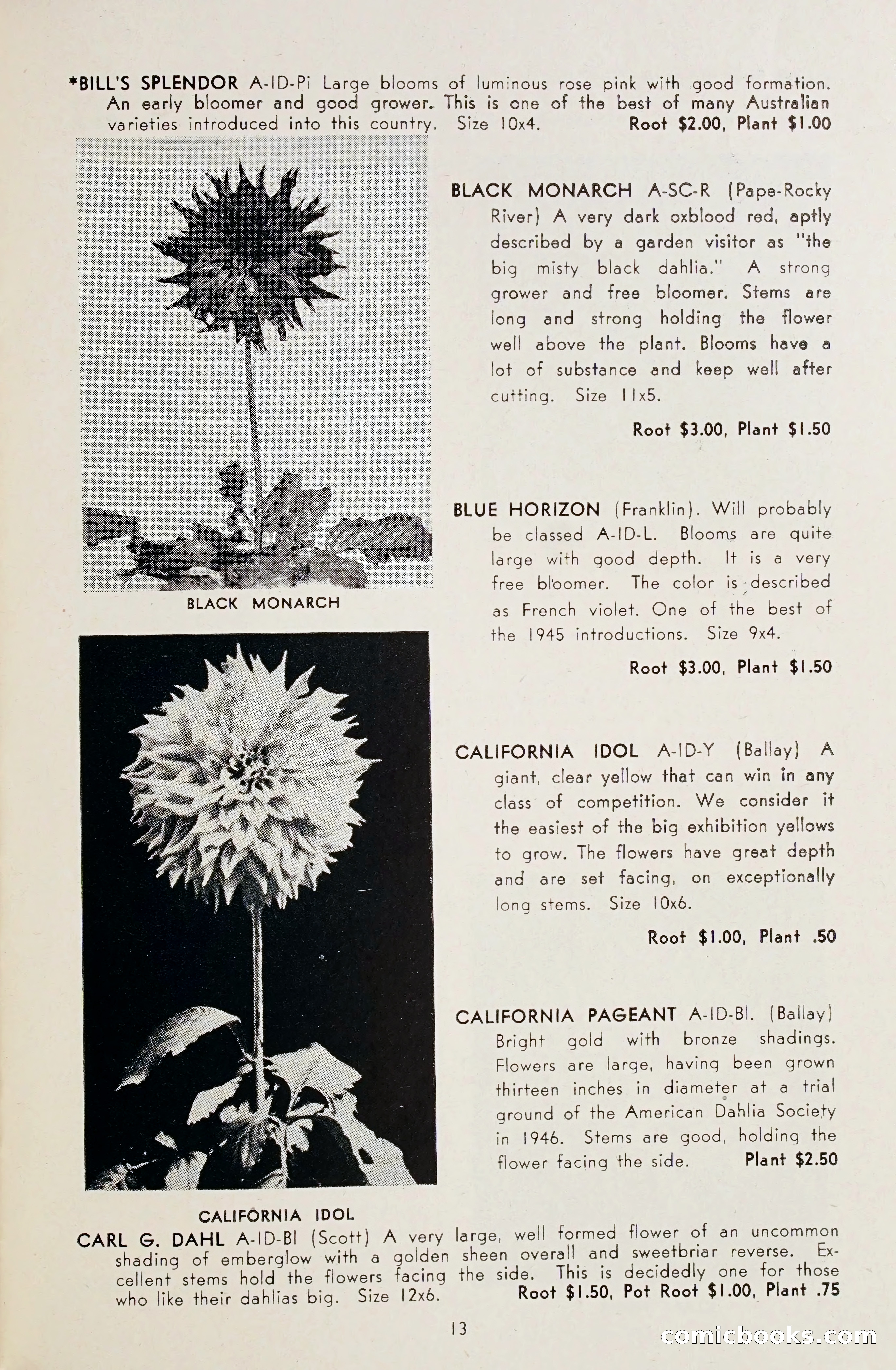 Dahlia Blue Book for 1948 — page 18 of 58