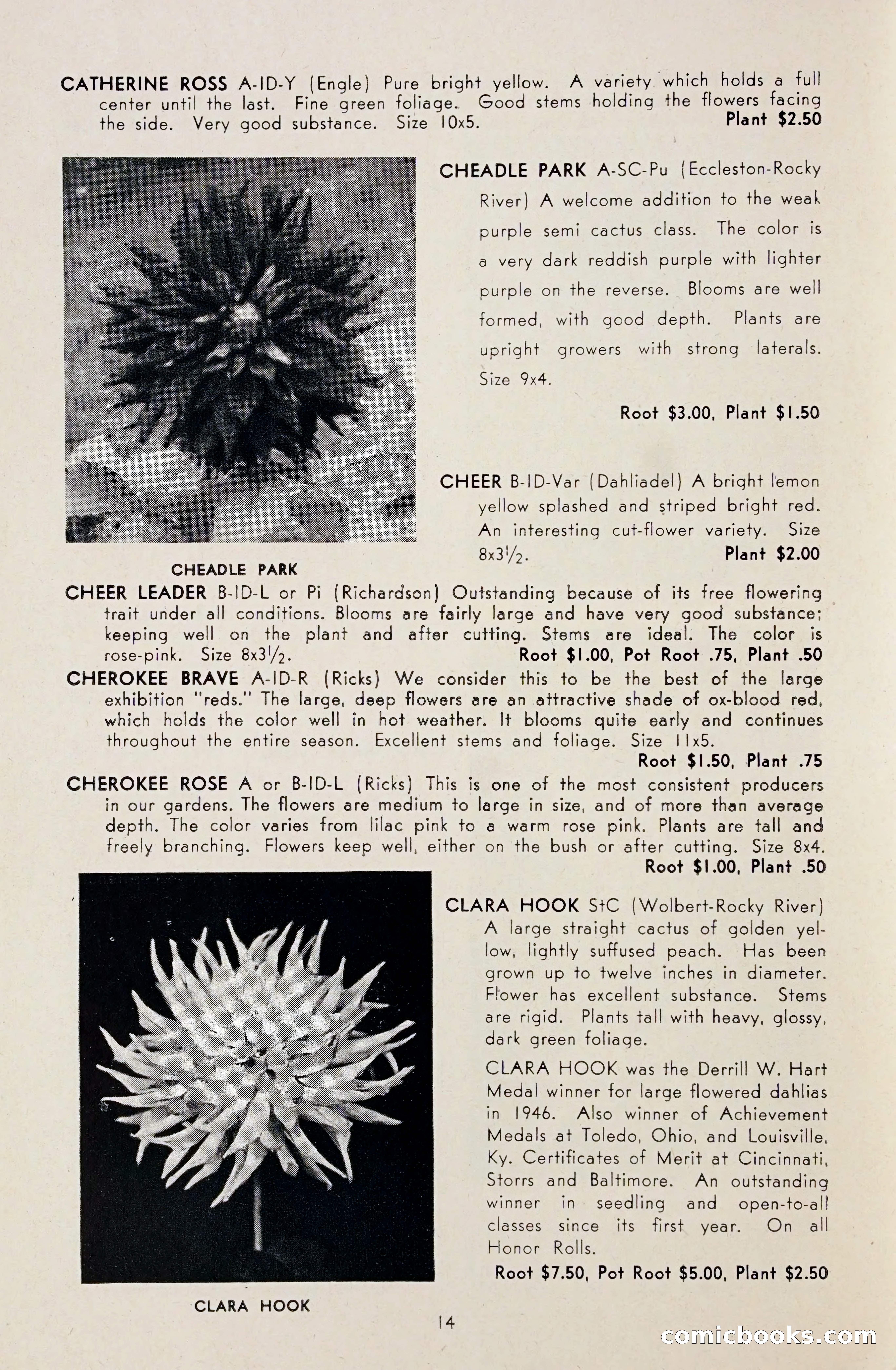 Dahlia Blue Book for 1948 — page 19 of 58