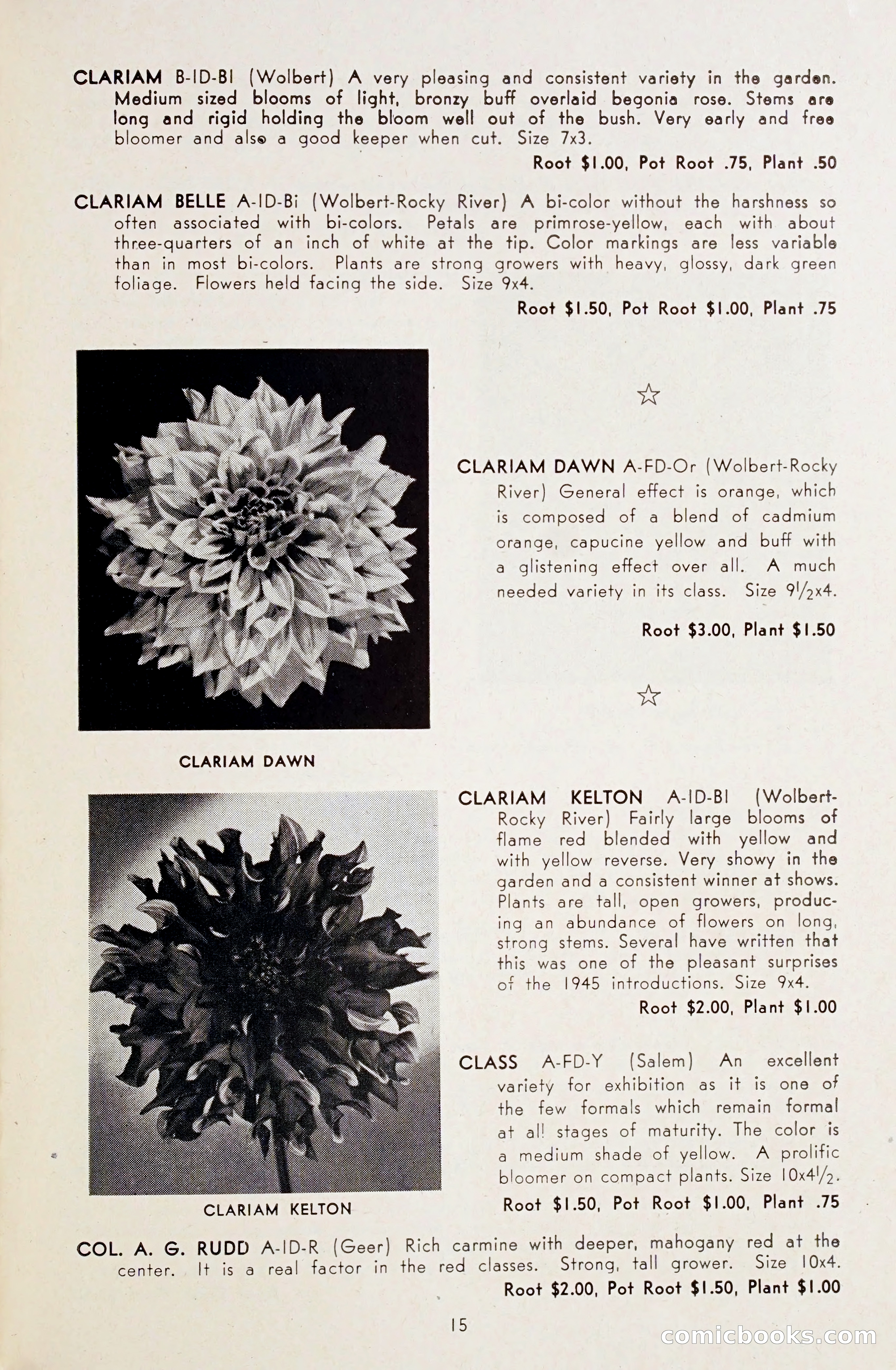 Dahlia Blue Book for 1948 — page 20 of 58