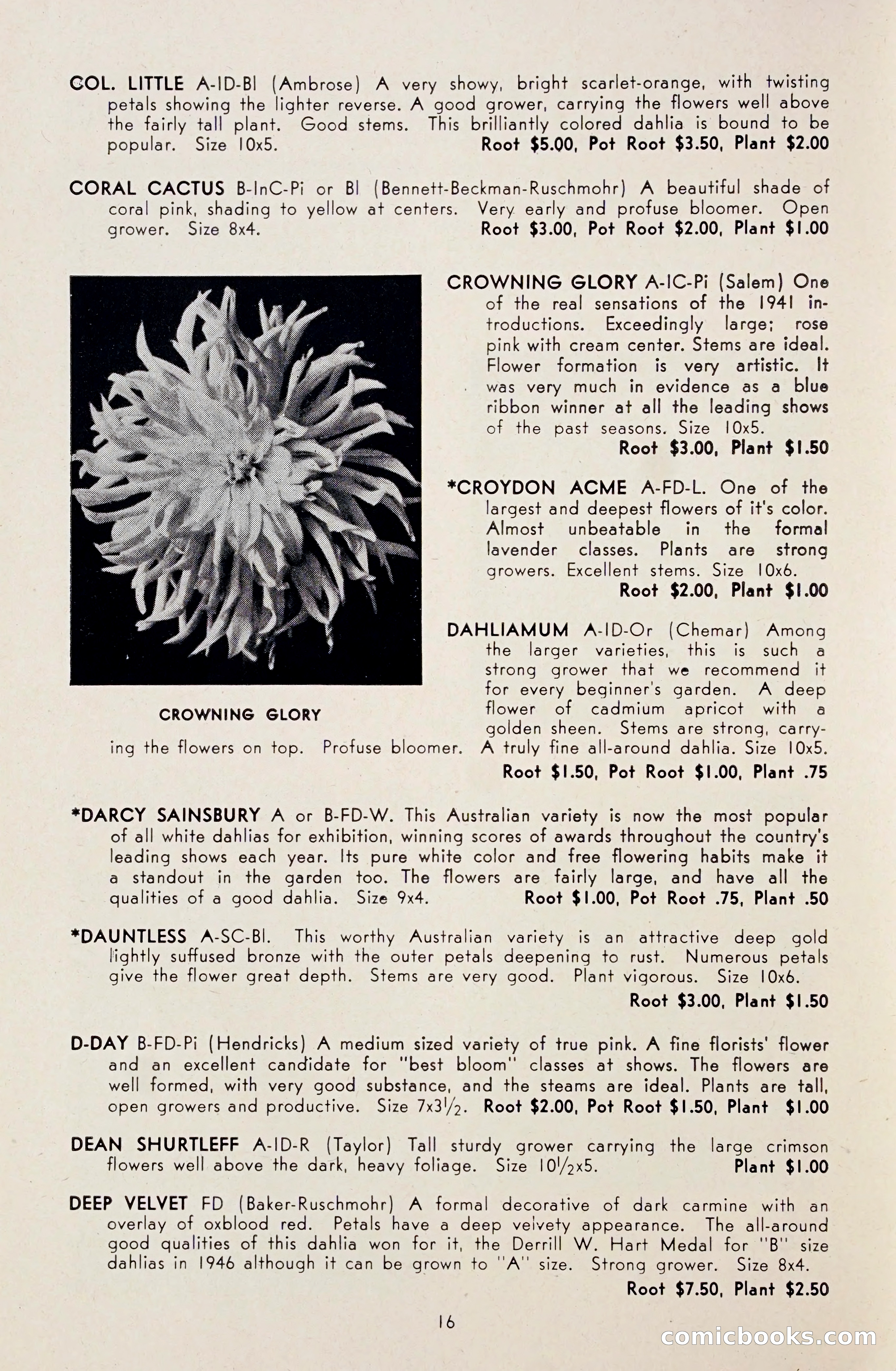 Dahlia Blue Book for 1948 — page 21 of 58