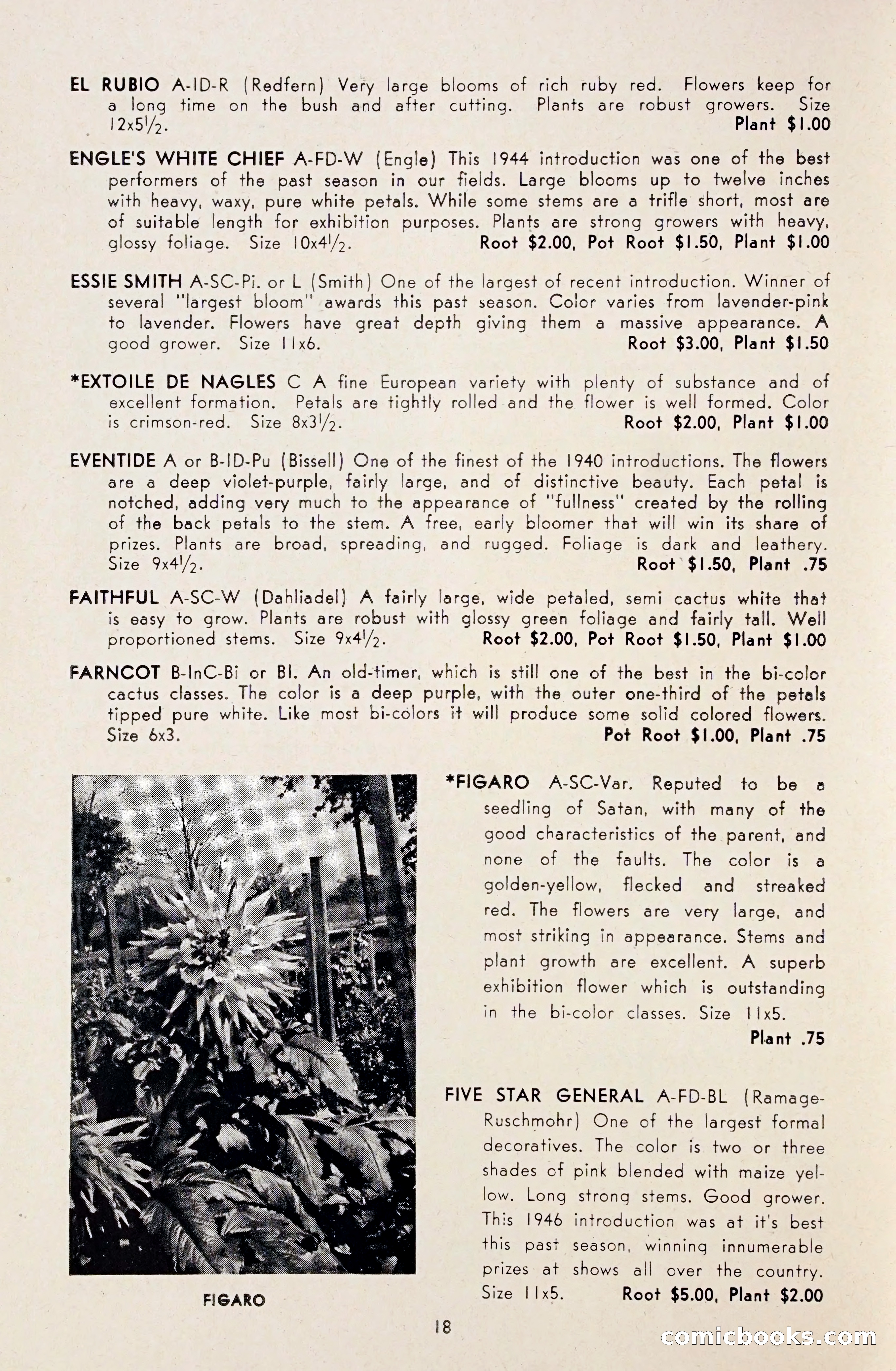 Dahlia Blue Book for 1948 — page 23 of 58