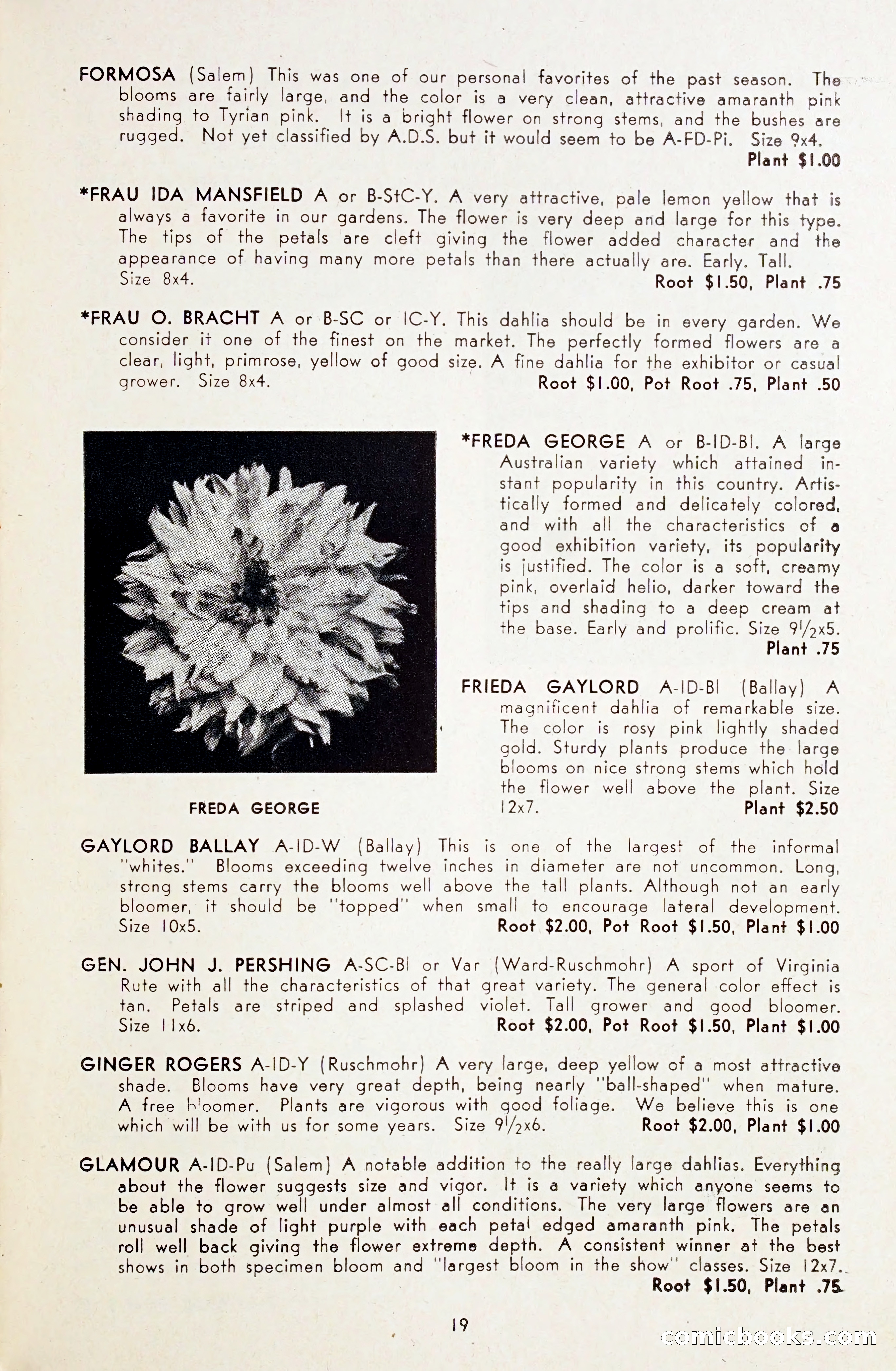 Dahlia Blue Book for 1948 — page 24 of 58