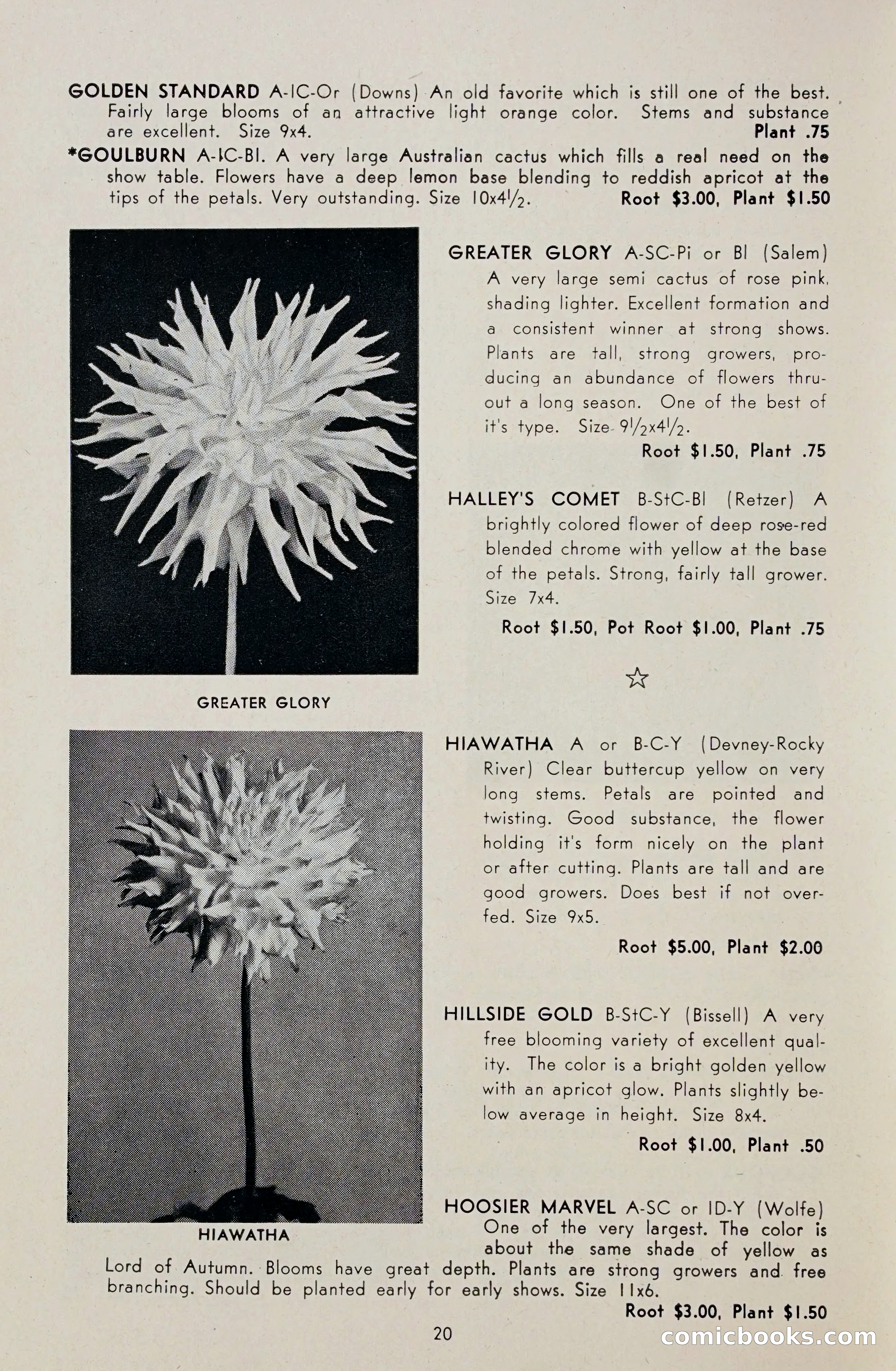Dahlia Blue Book for 1948 — page 25 of 58