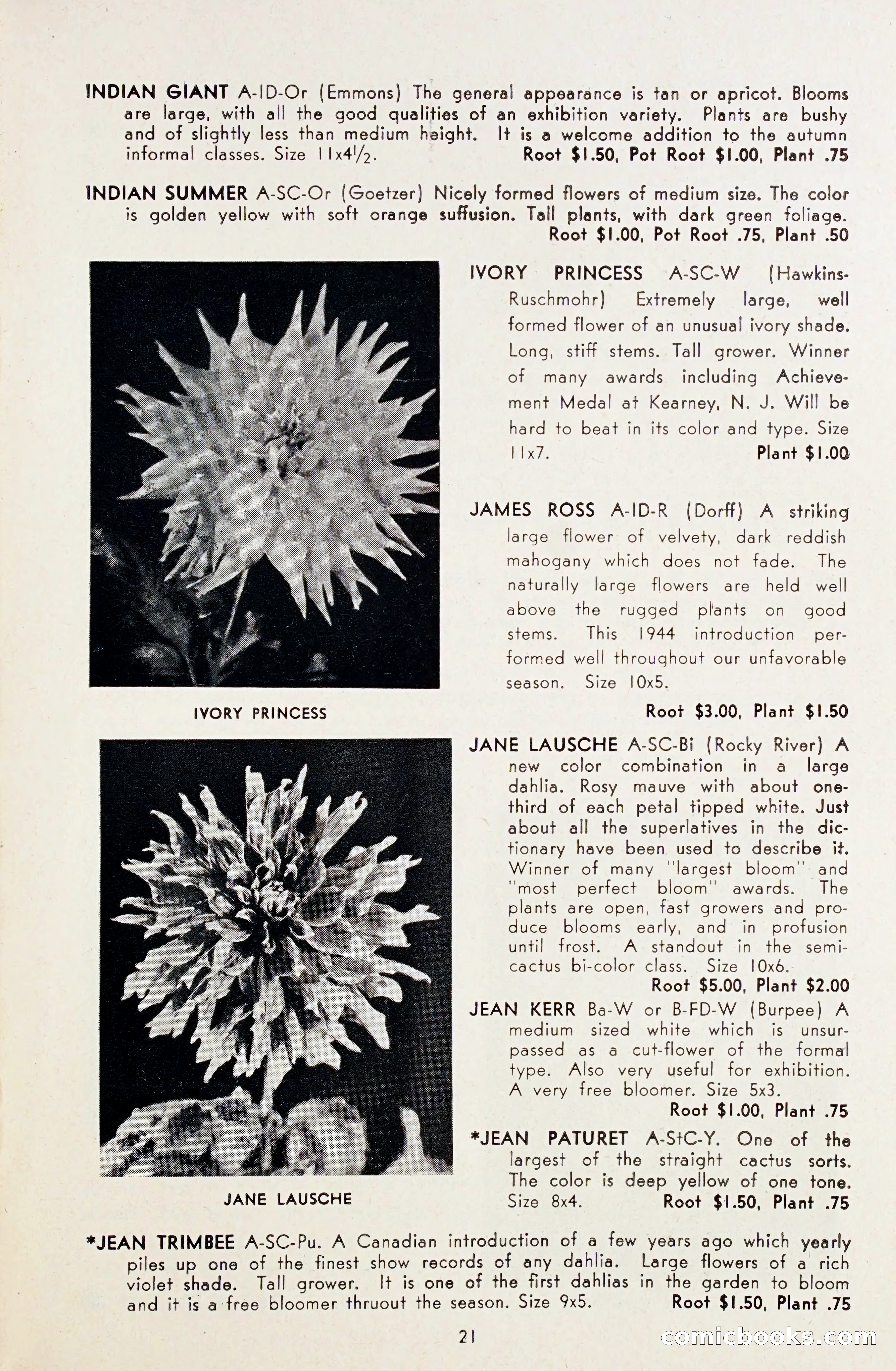 Dahlia Blue Book for 1948 — page 26 of 58