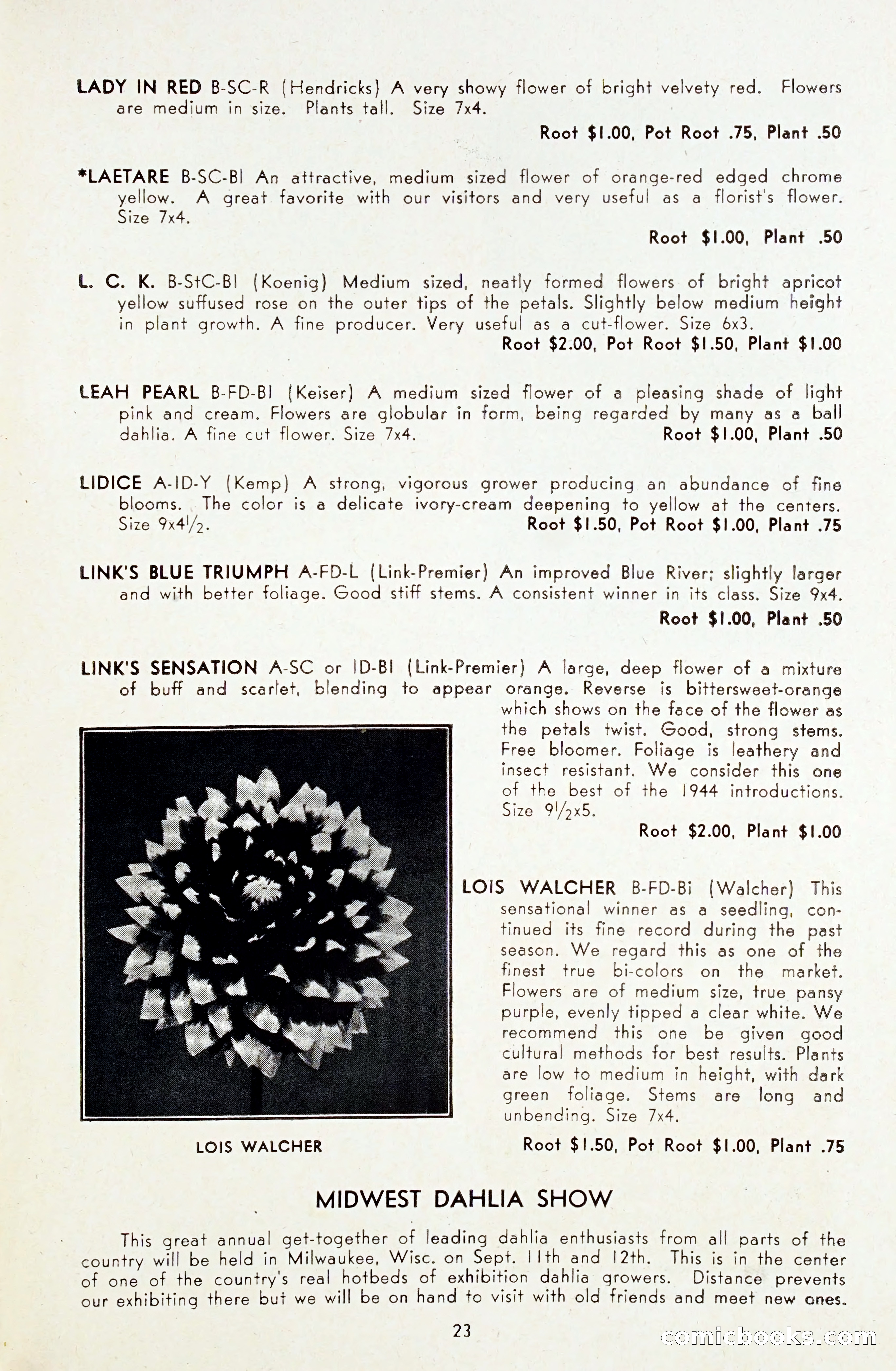Dahlia Blue Book for 1948 — page 28 of 58