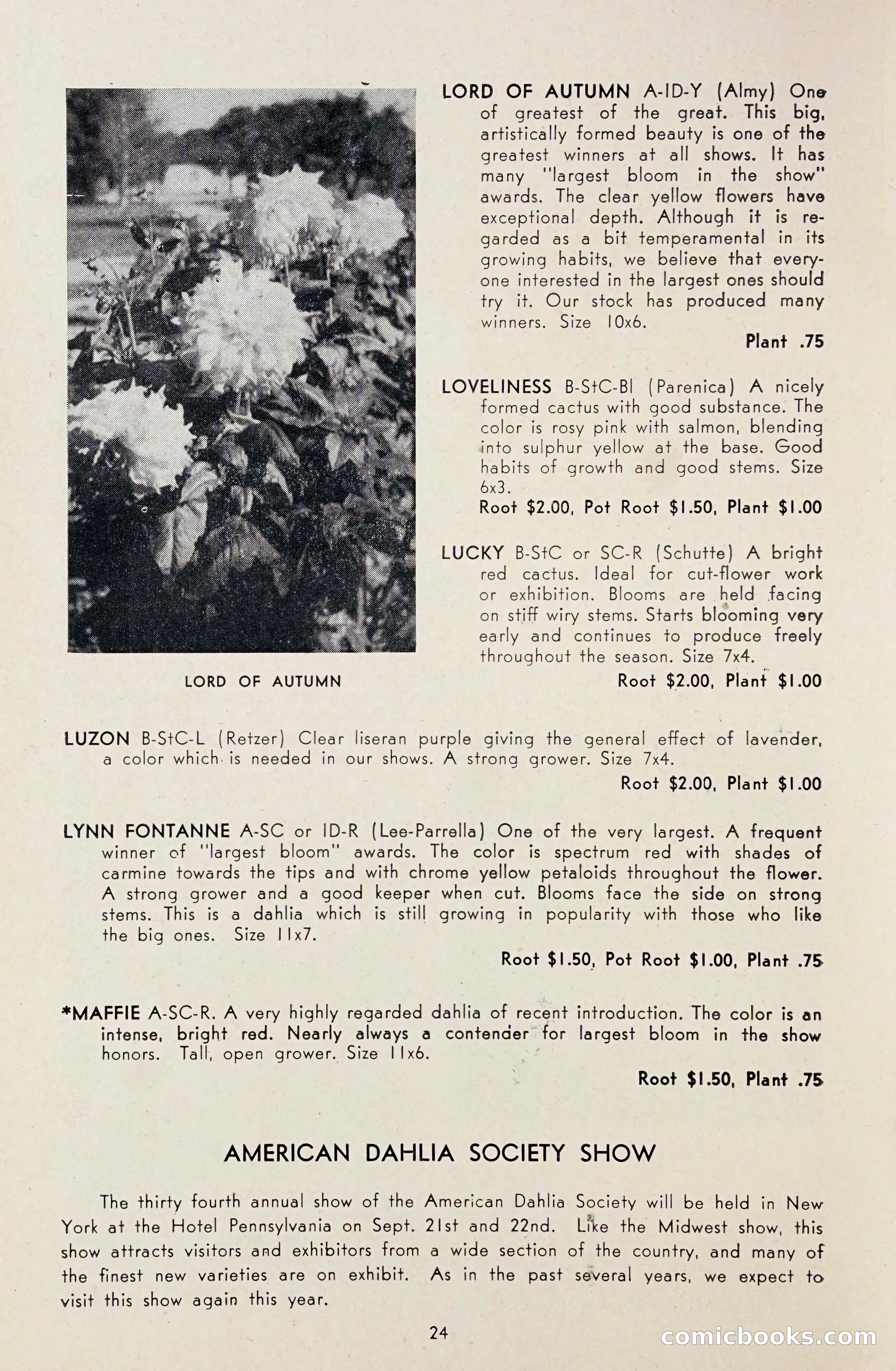 Dahlia Blue Book for 1948 — page 29 of 58