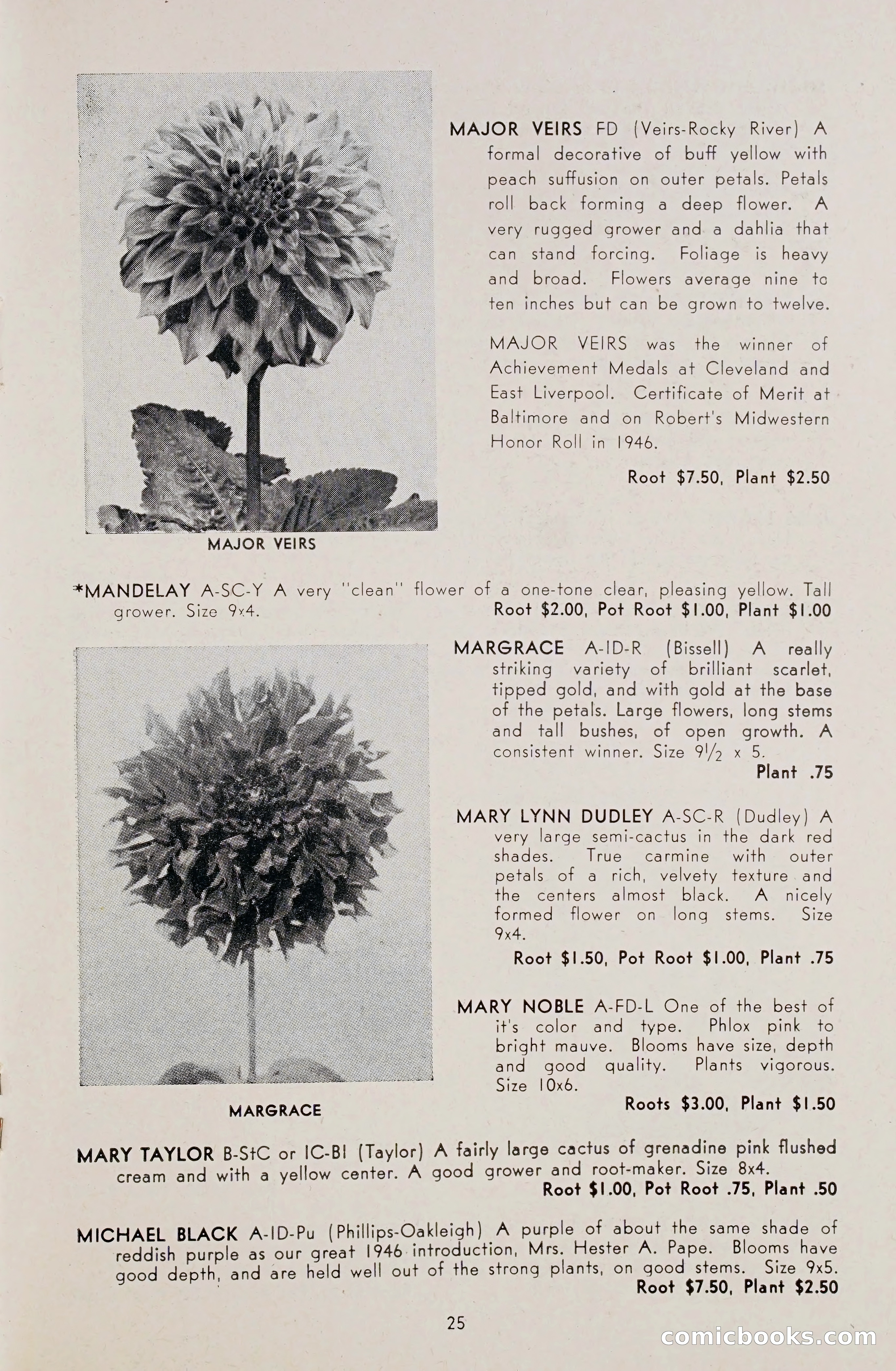 Dahlia Blue Book for 1948 — page 30 of 58