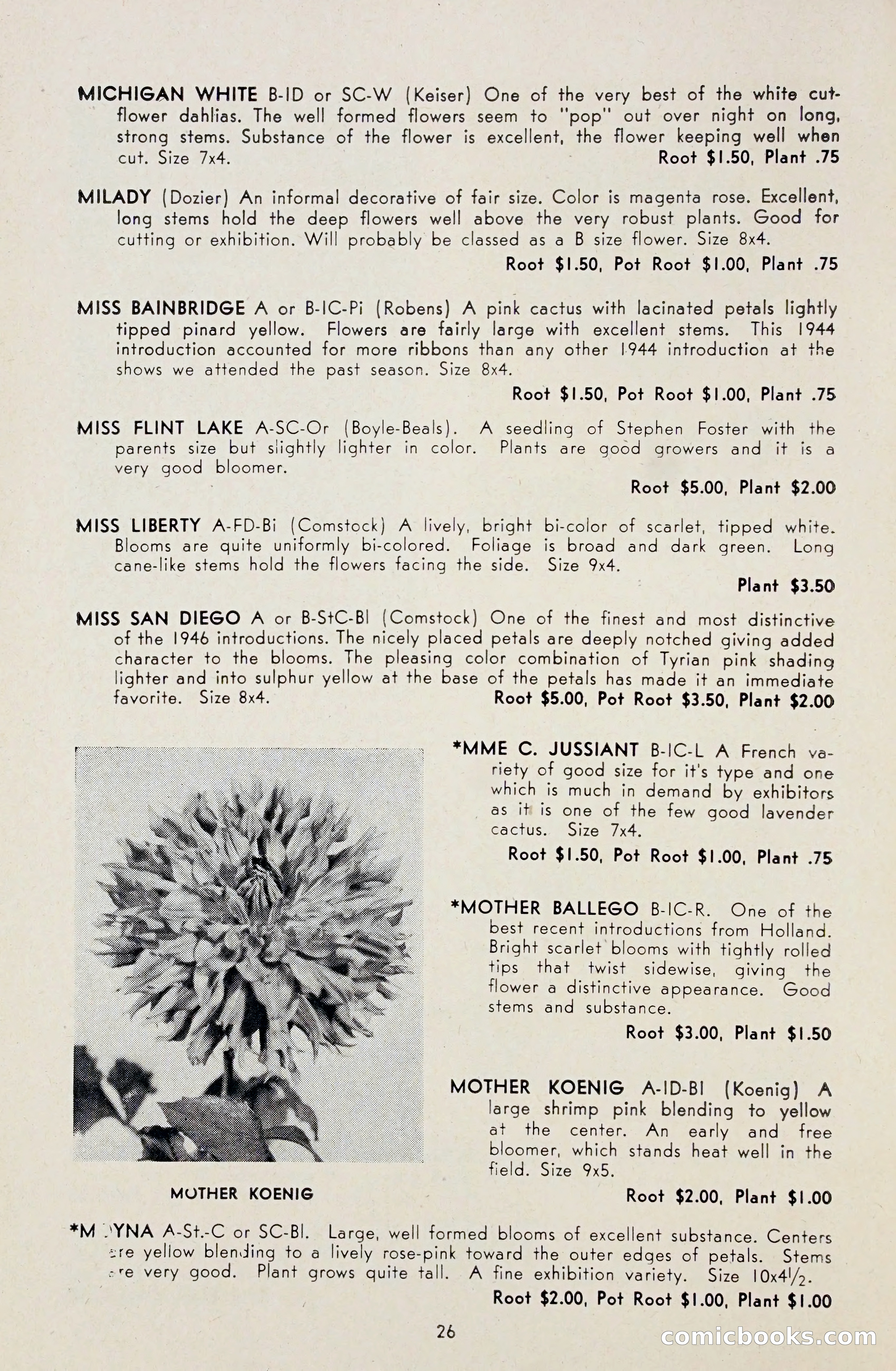 Dahlia Blue Book for 1948 — page 31 of 58